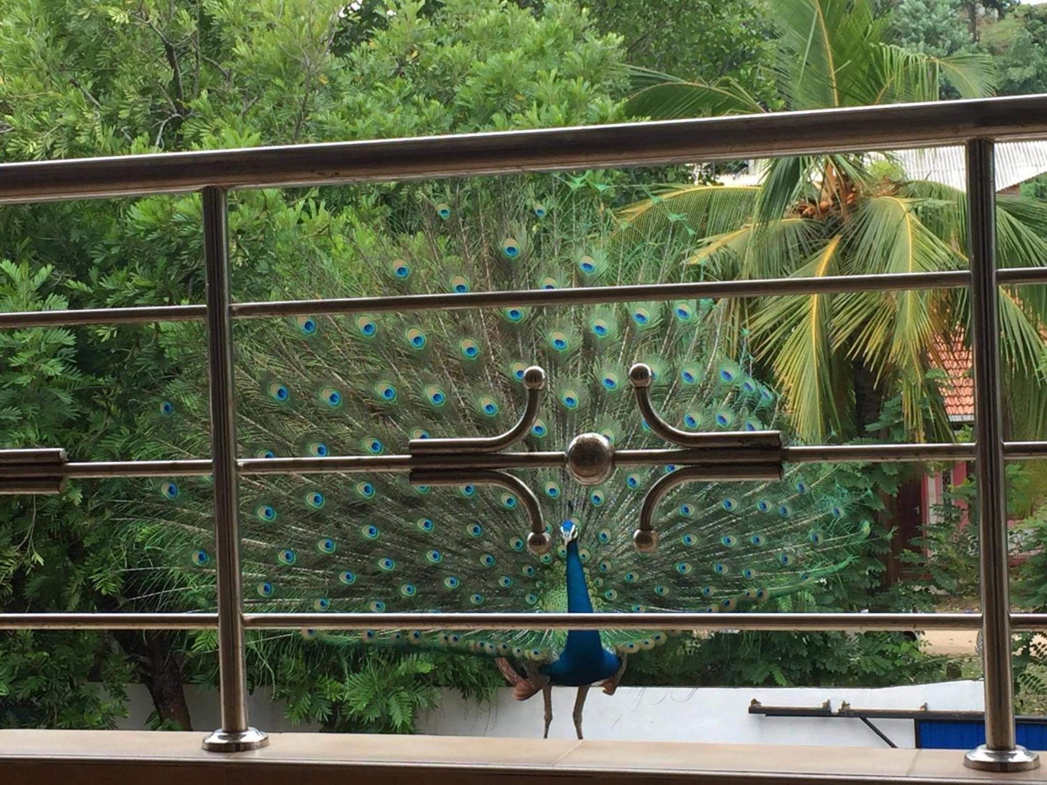 Mirissa Dream Villa view 3