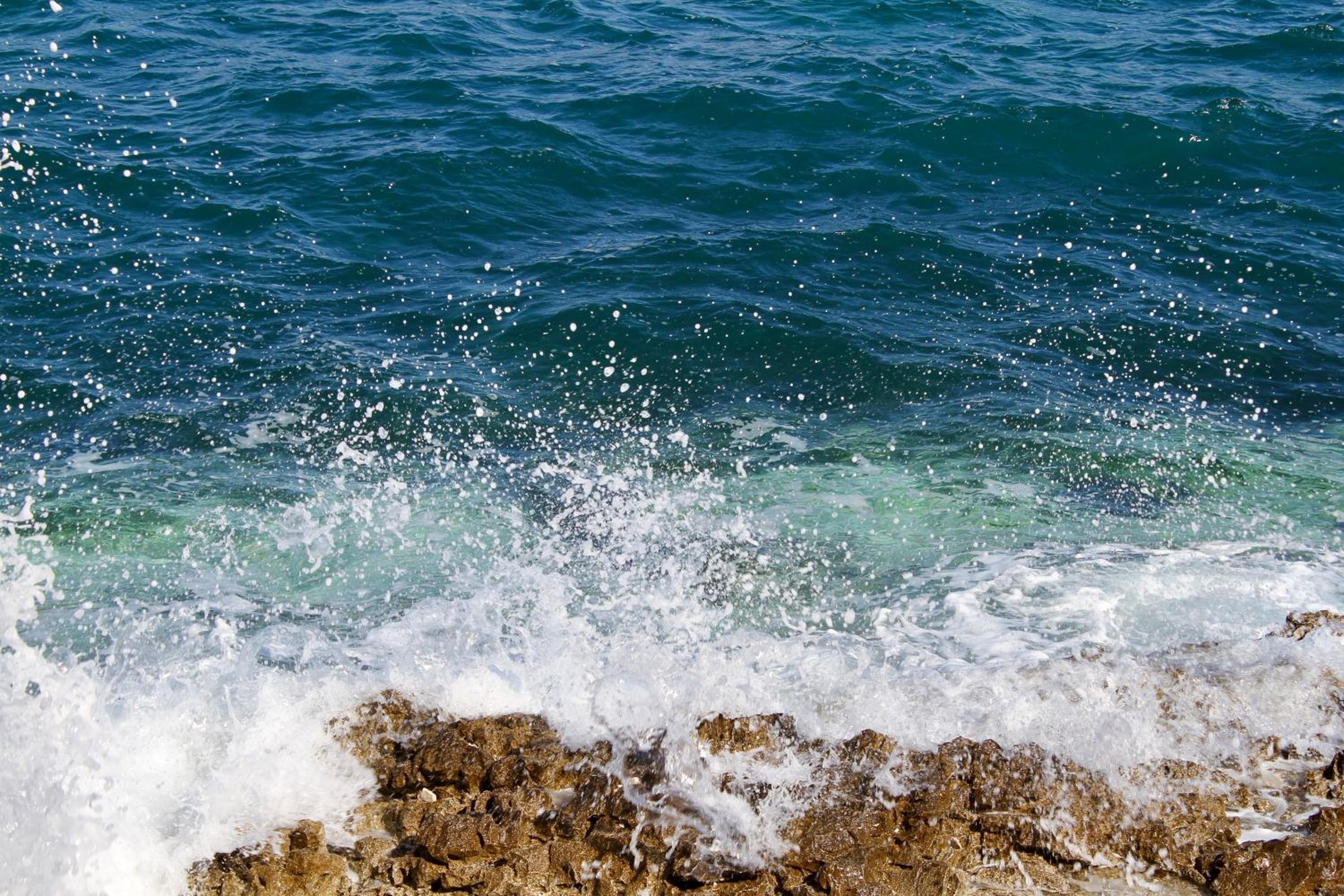 Photo 46