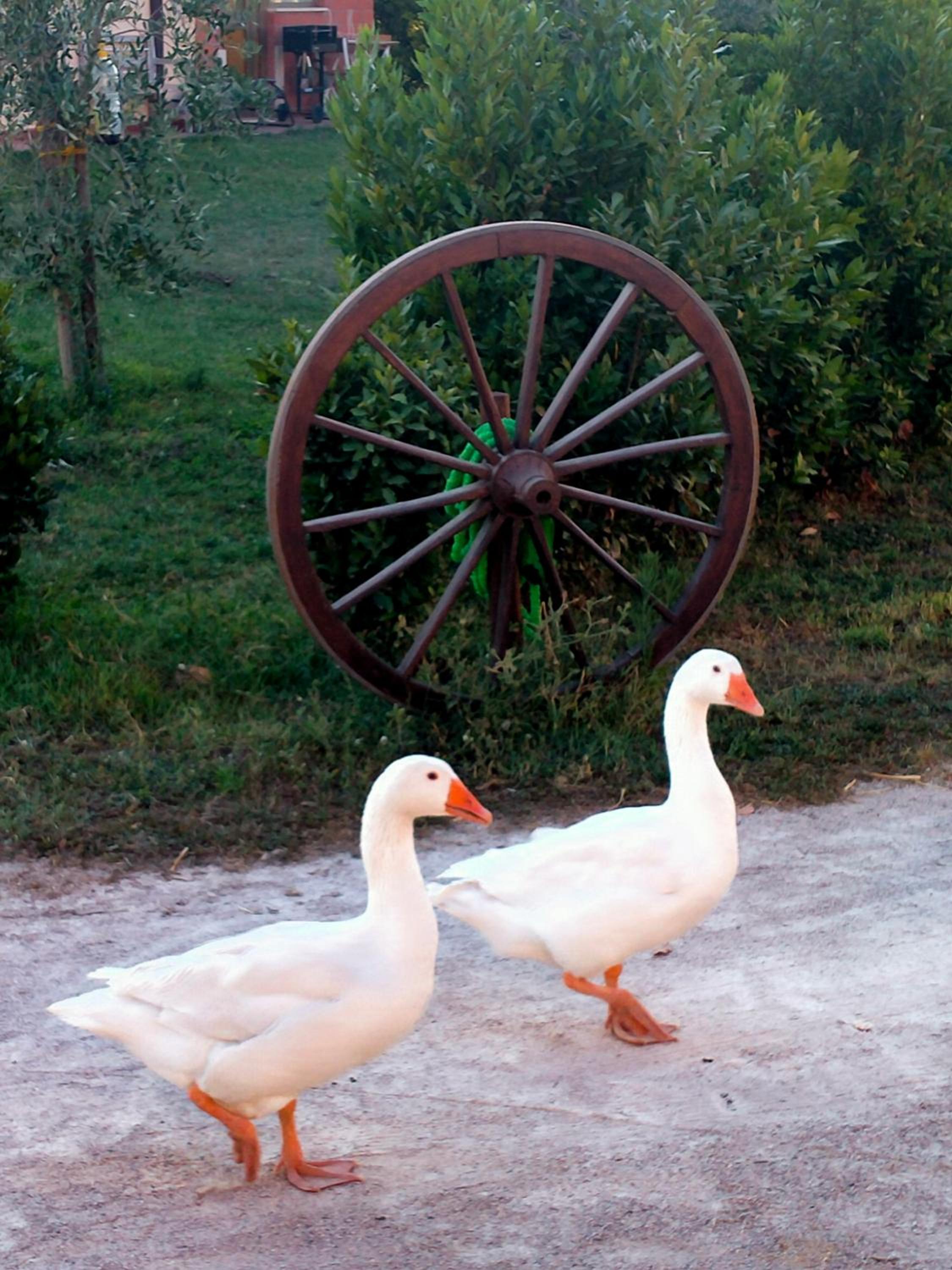 Photo 13
