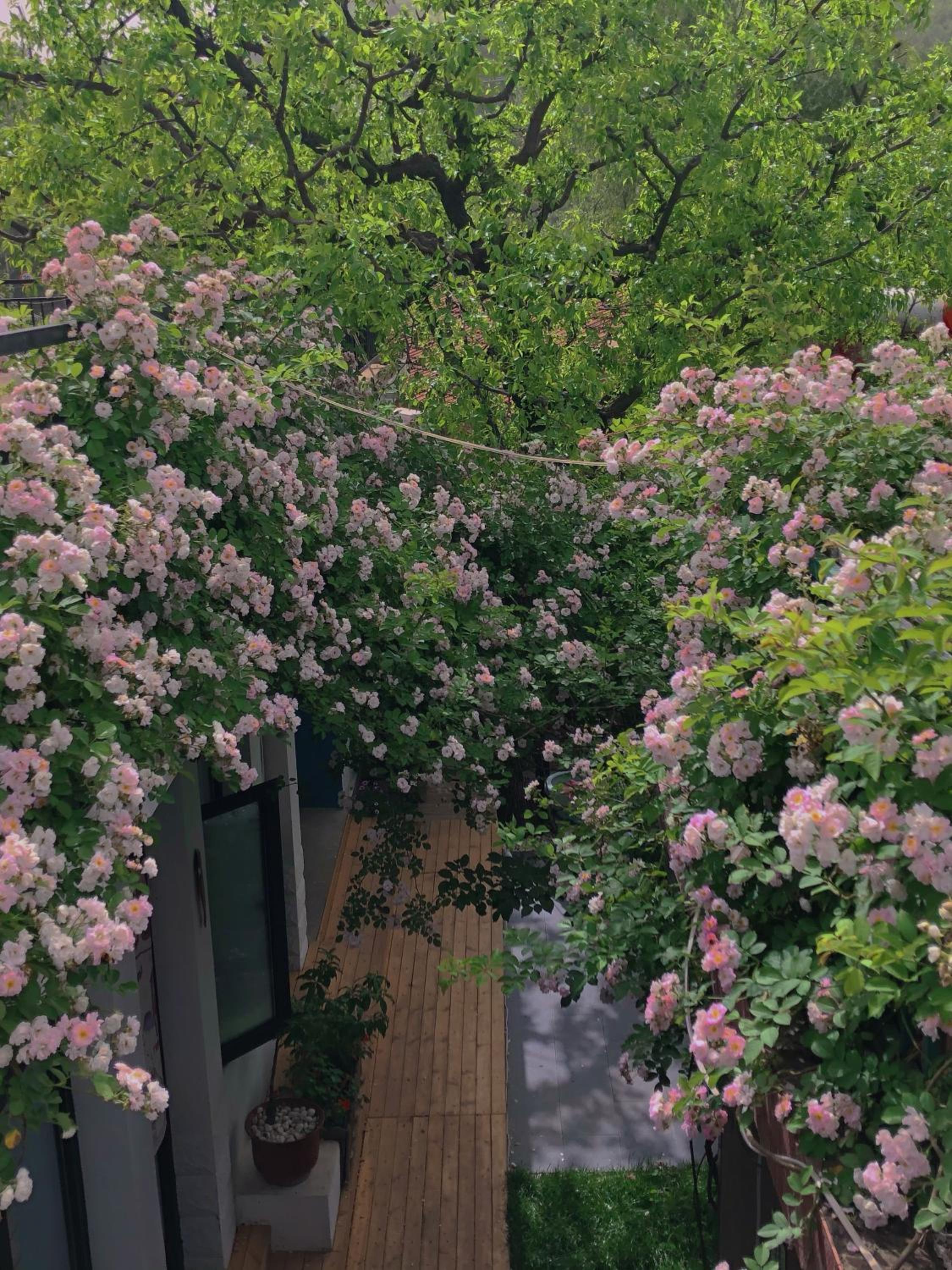 Encounter Garden Great Wall Holiday Guesthouse