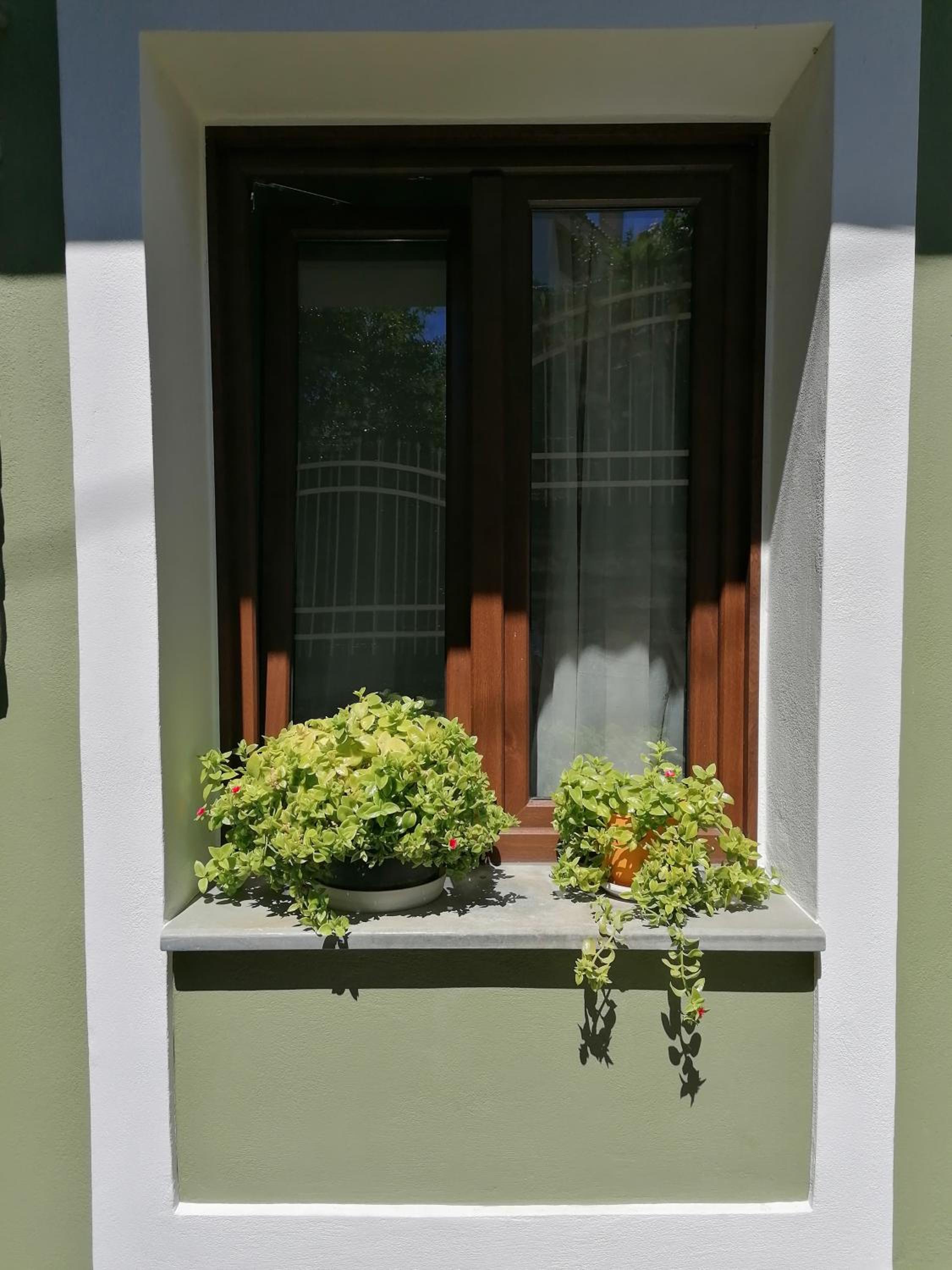 Green House Skiathos