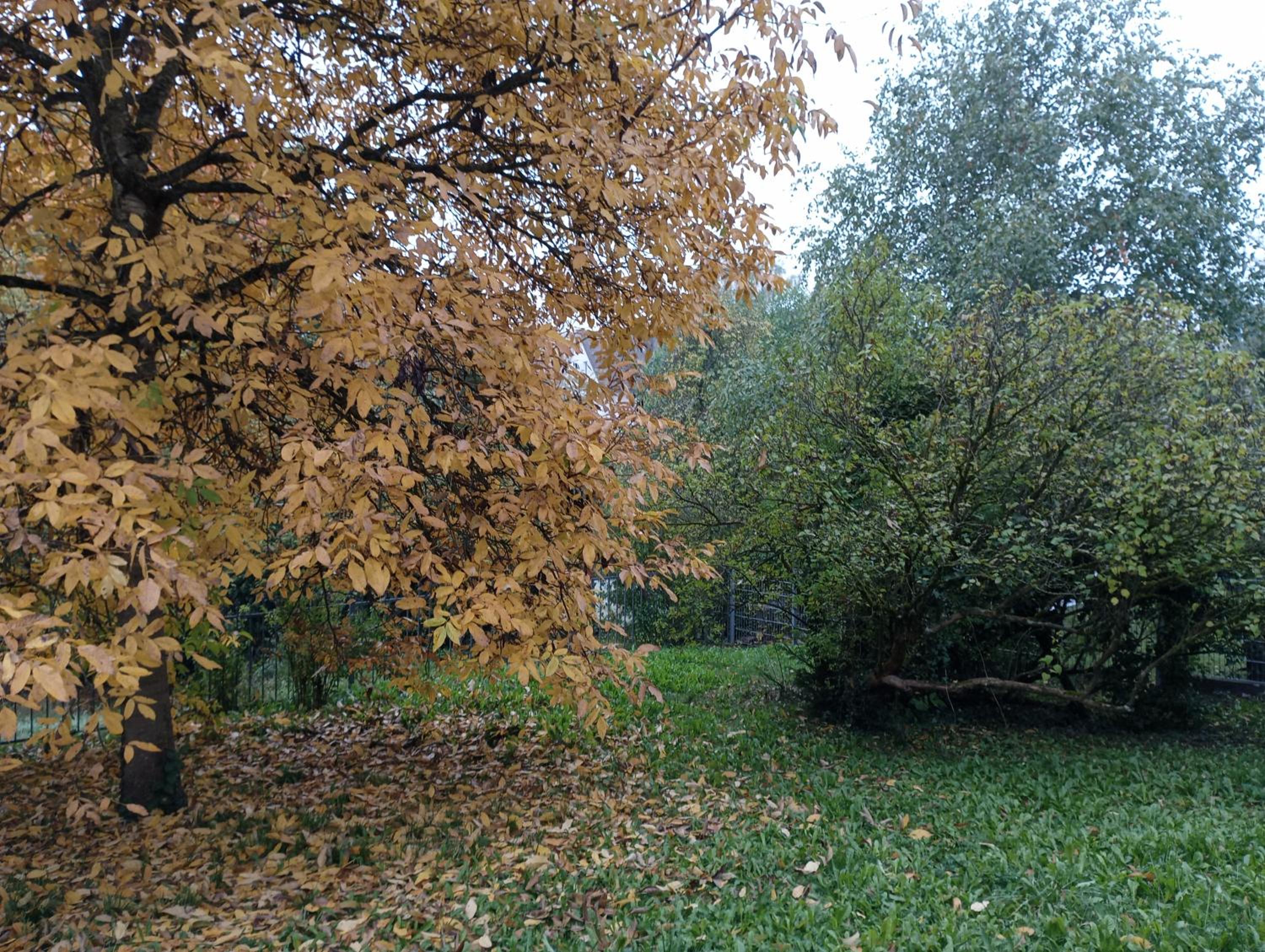 Obergeschoss - Katharina von Berg