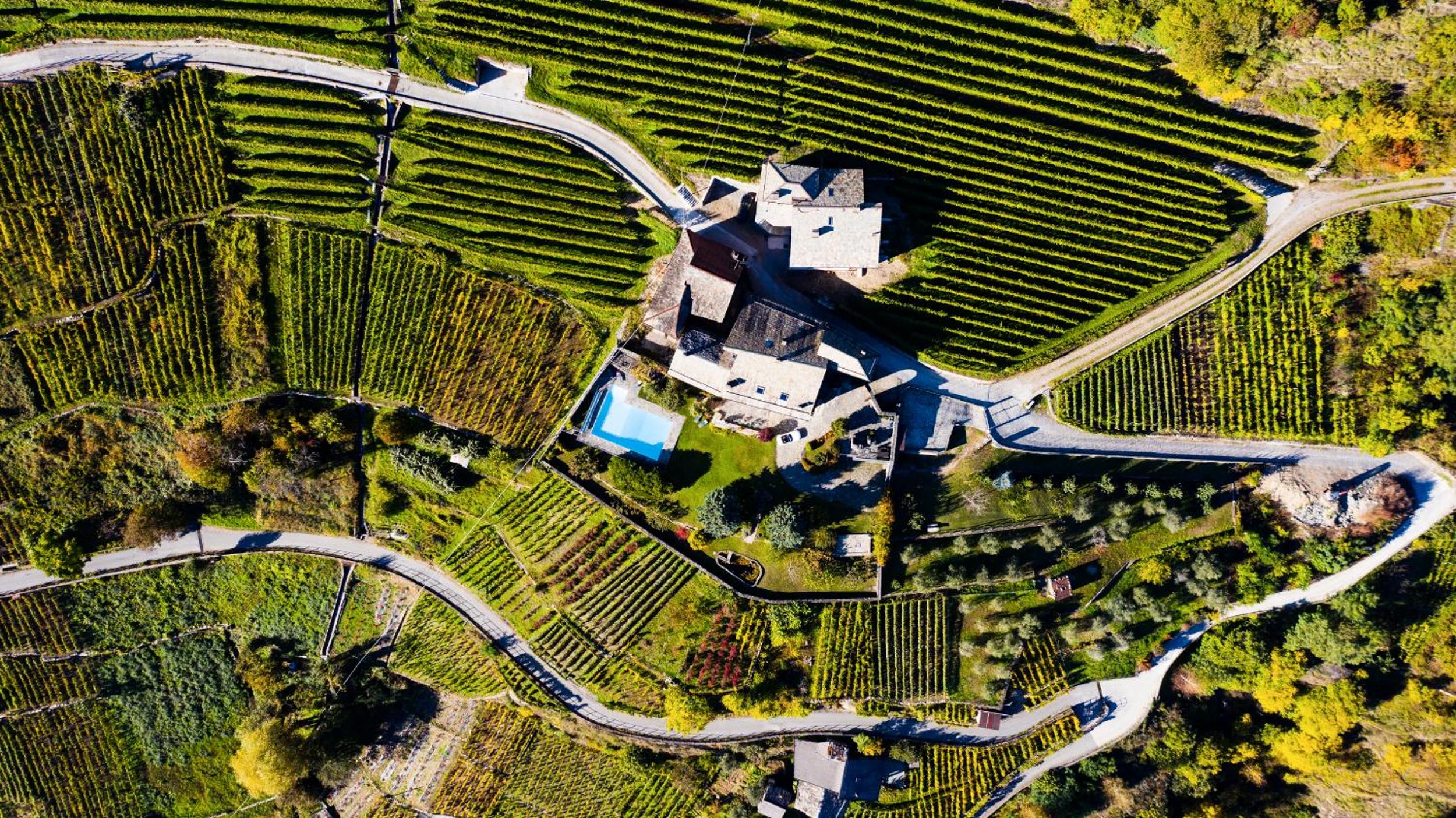 VILLA DEL LUPO: Crown of The Valtellina photo 2