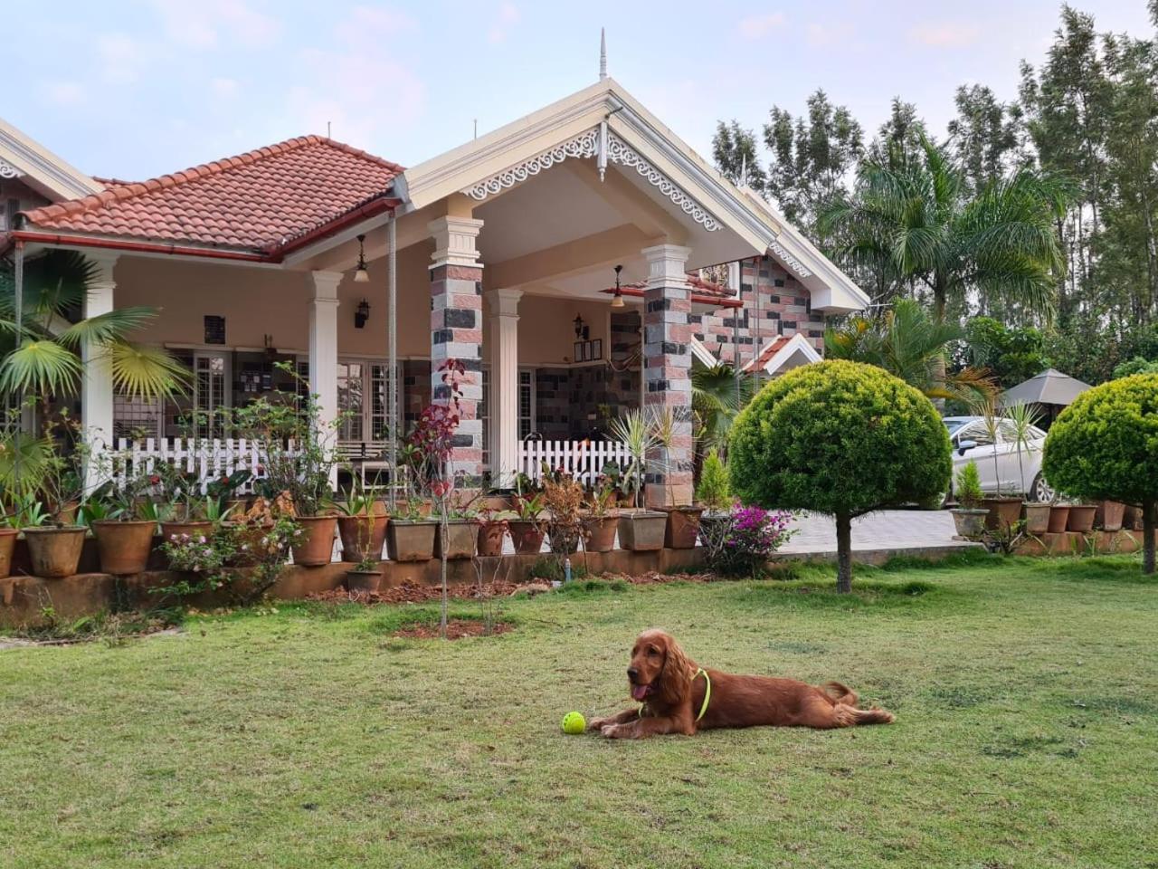 The Vintage Chikmagalur view 3