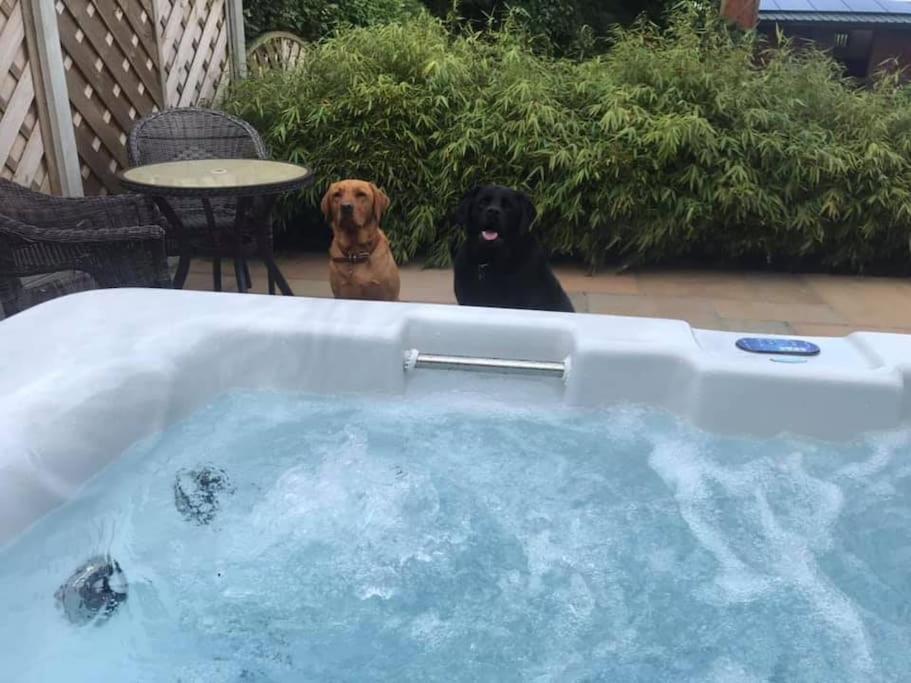 Primrose Holiday Cottage, Dog Friendly, Hot Tub, Winestead, East Yorkshire Coast view 3