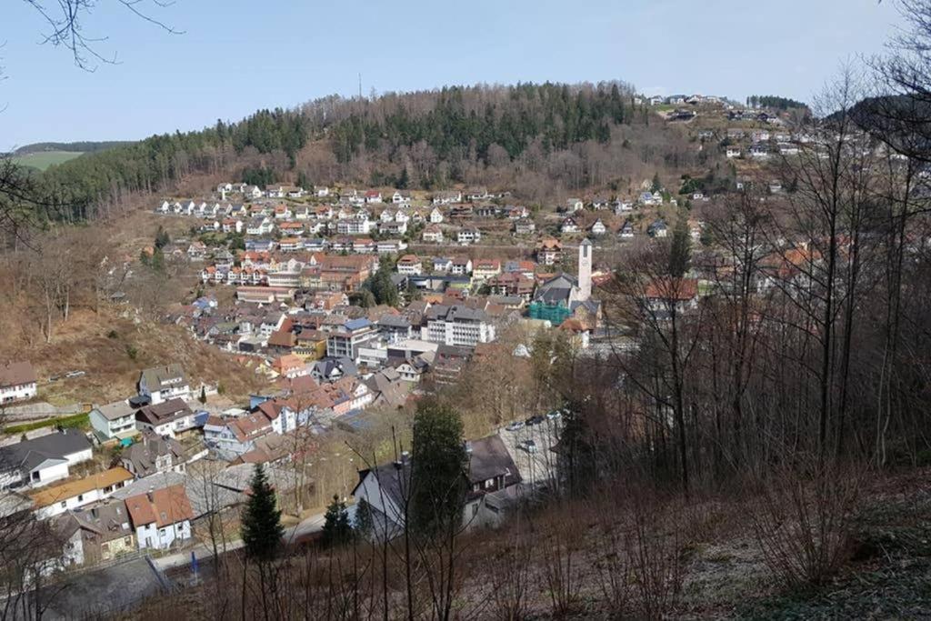 2 Rooms Apartment in Triberg view 5