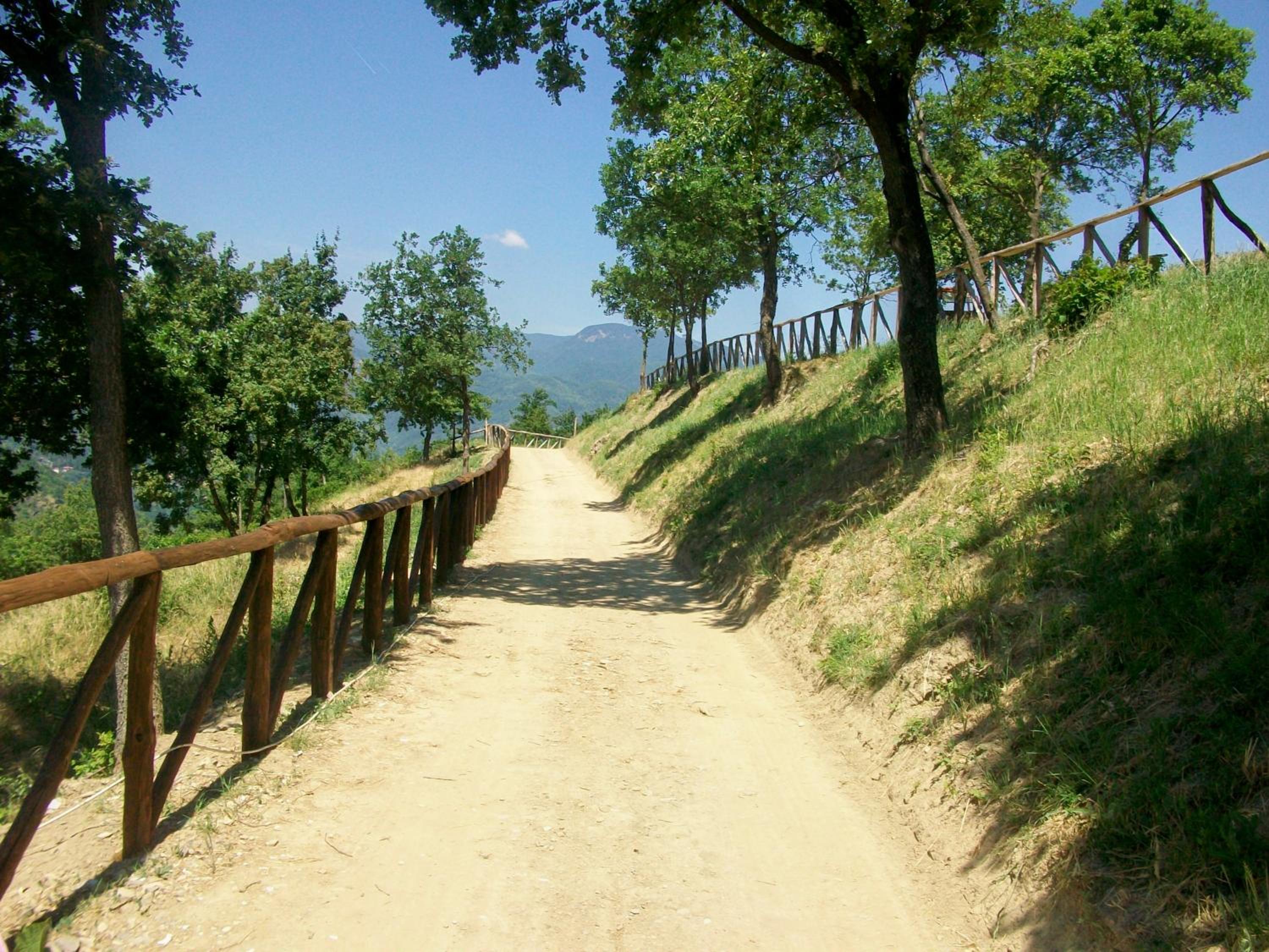 Country Farm view 4