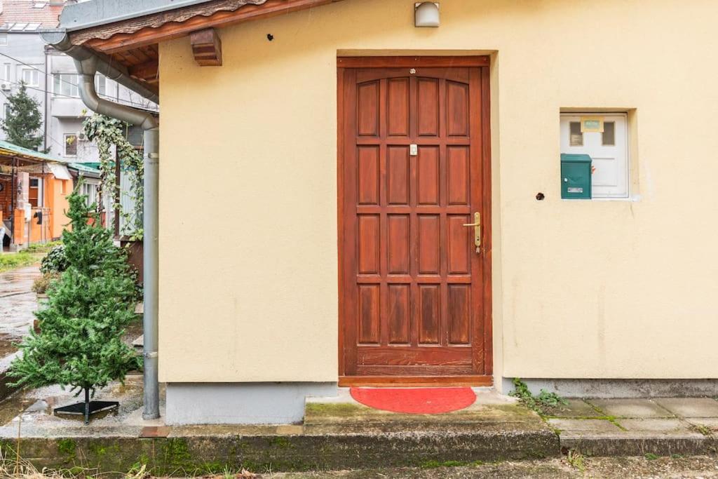 Warm house full of green ambient,joy and comfort view 5