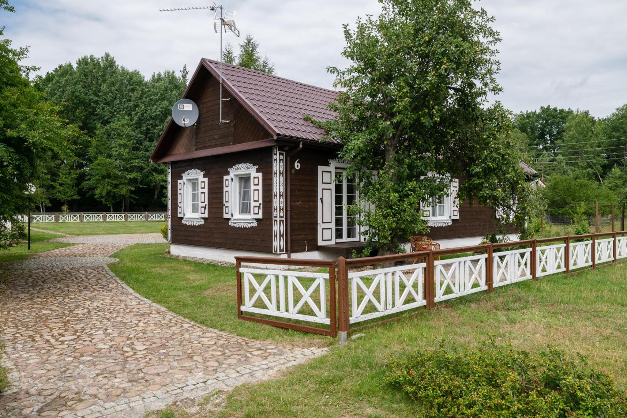 Photo 18