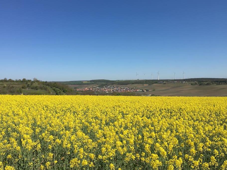 Ferienwohnung Weinbergsblick optimale Stadtnähe