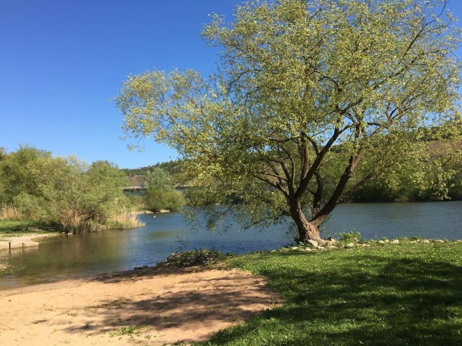 Ferienwohnung Weinbergsblick optimale Stadtnähe