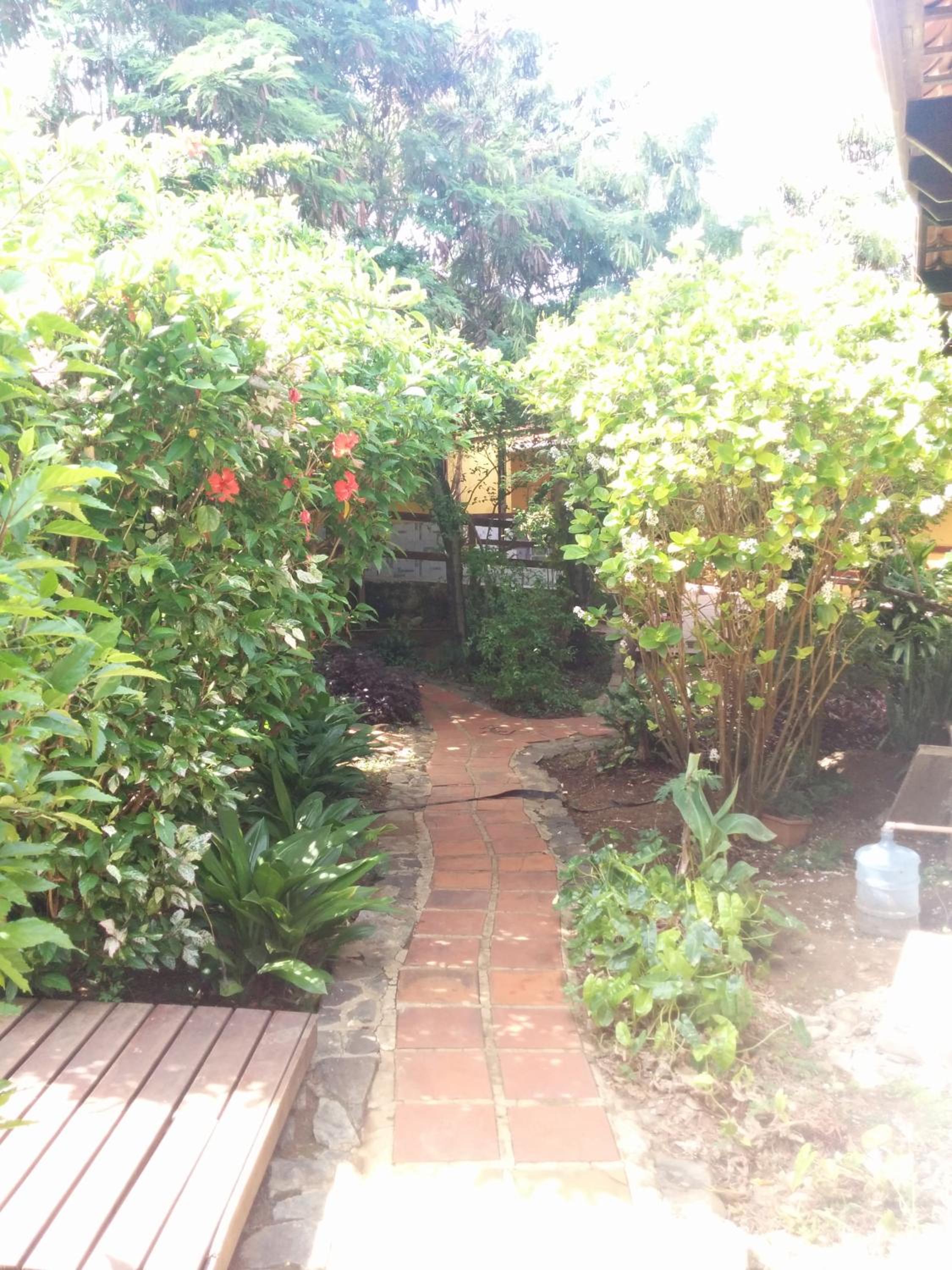 Photo 31