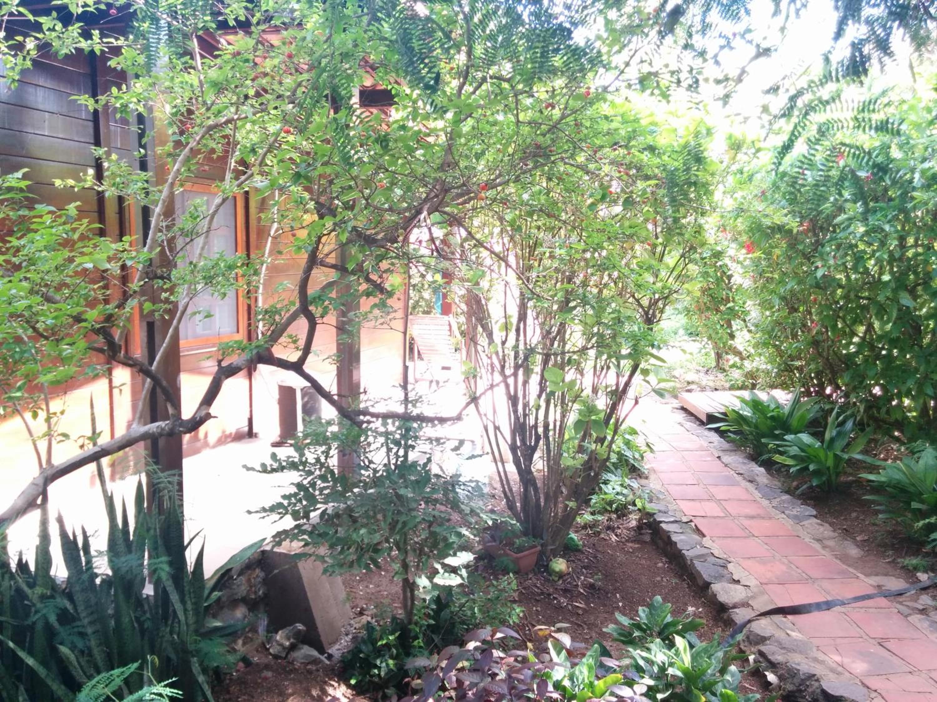 Photo 32