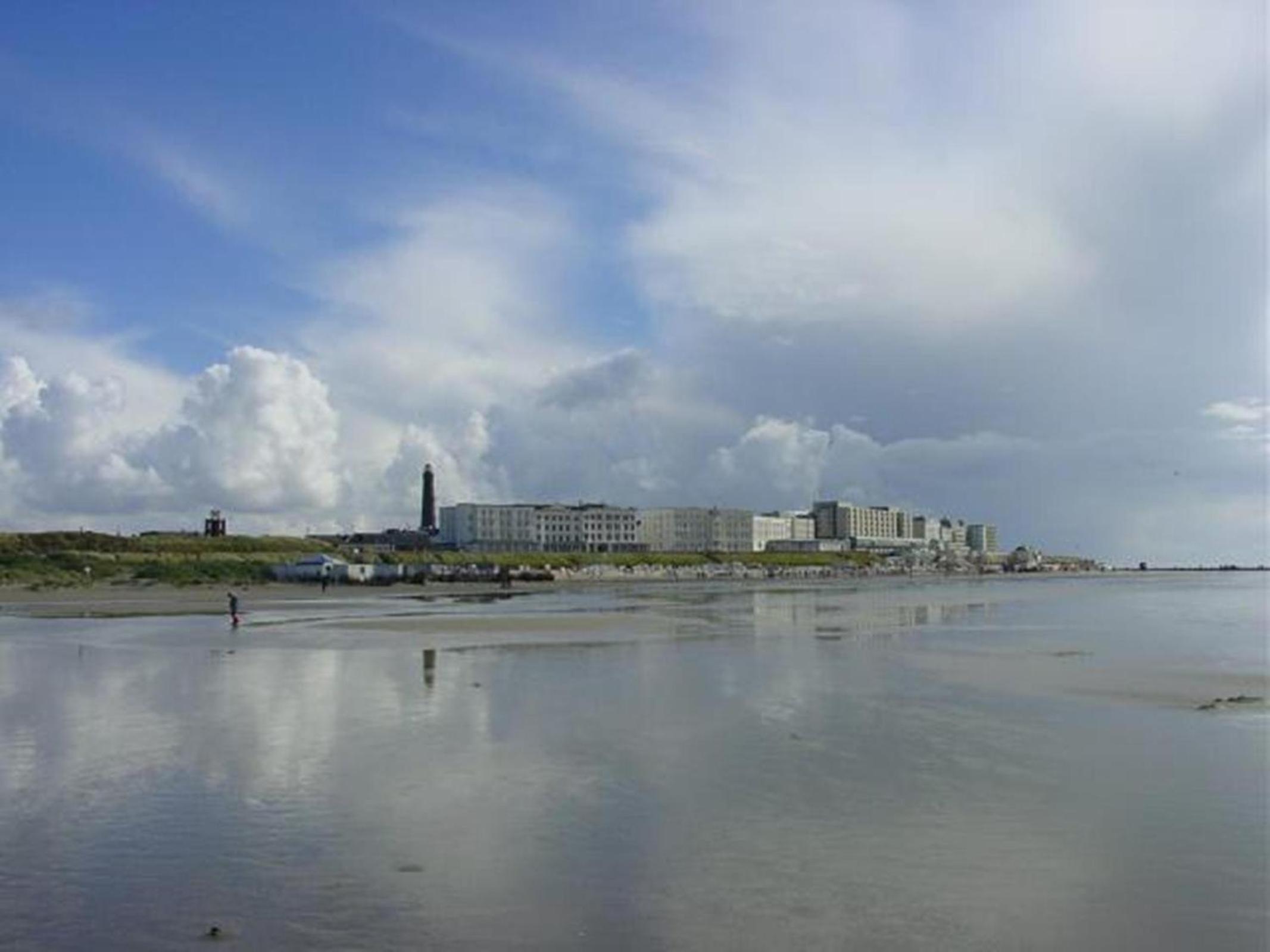 Moewennestchen