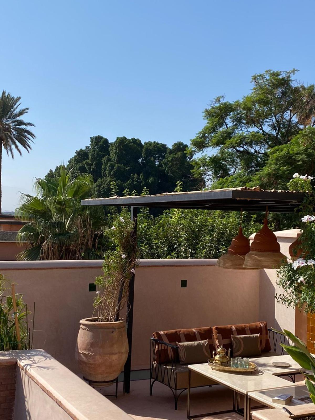 Riad Doum Collection 1