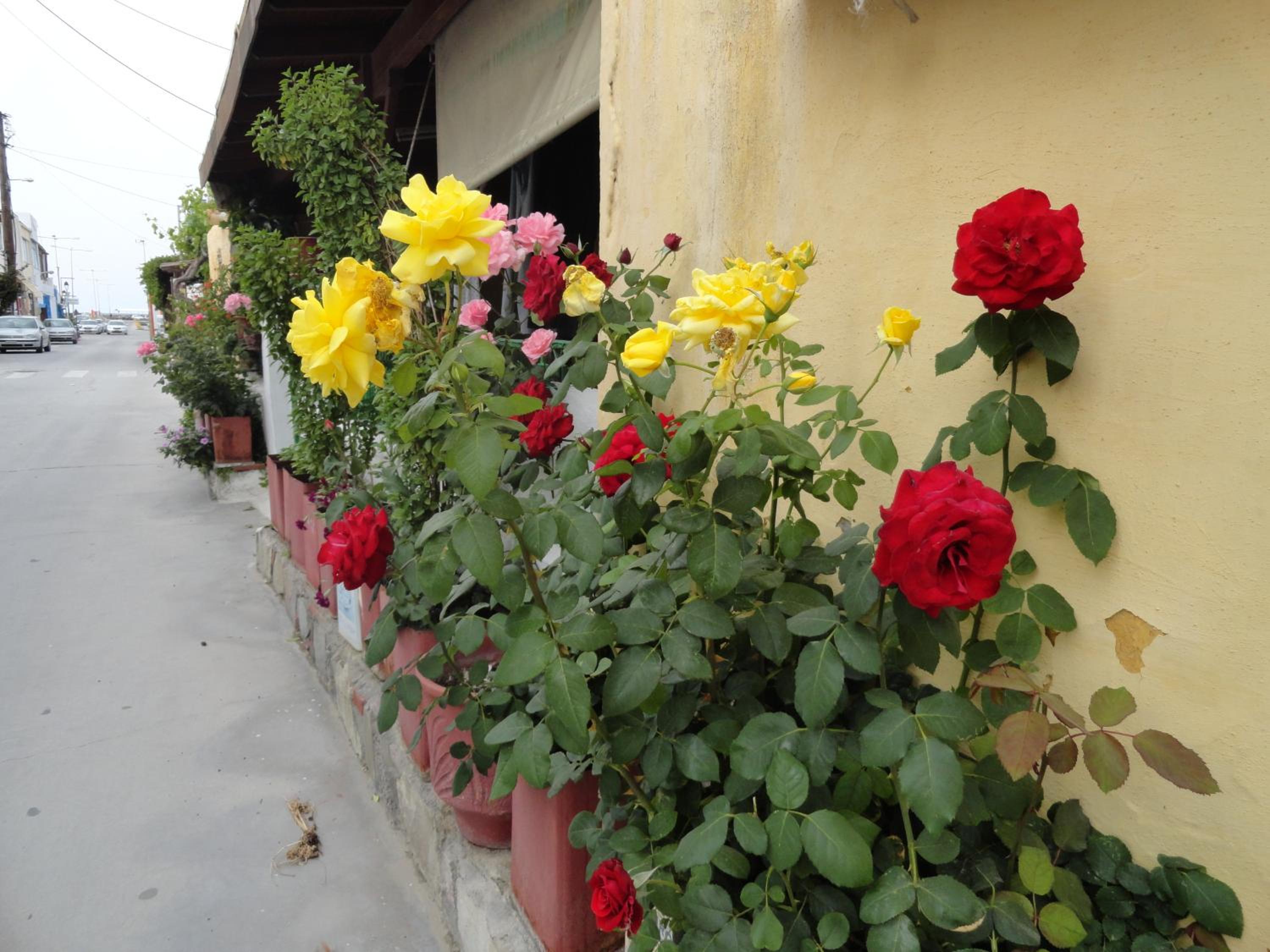 Photo 13