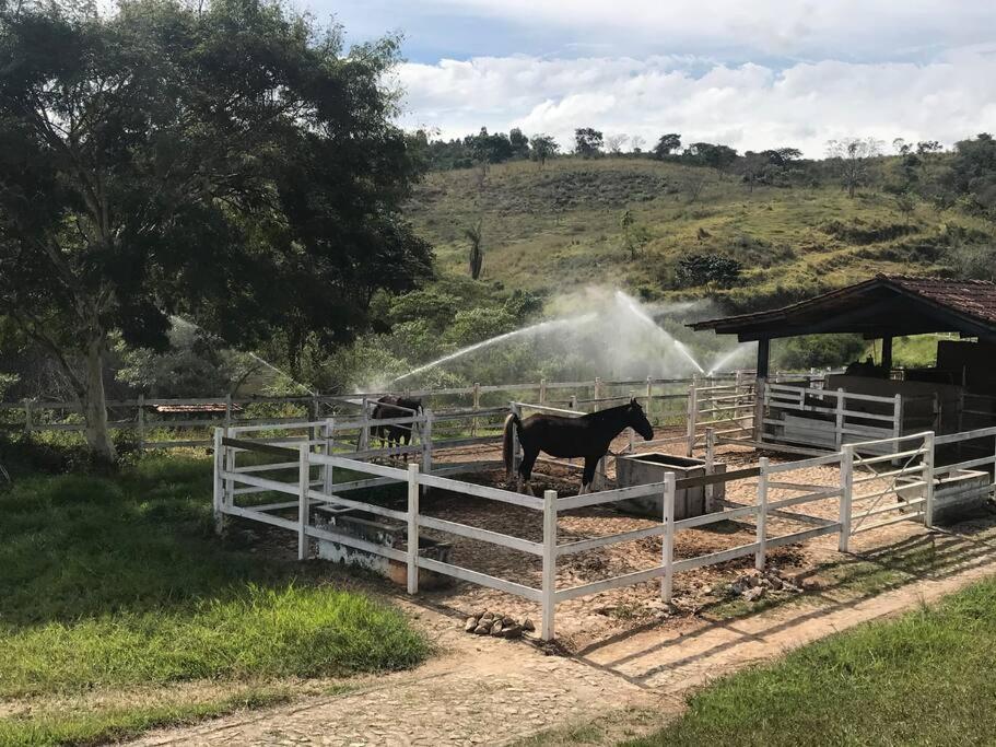 Haras Santa Amalia - Nova União MG