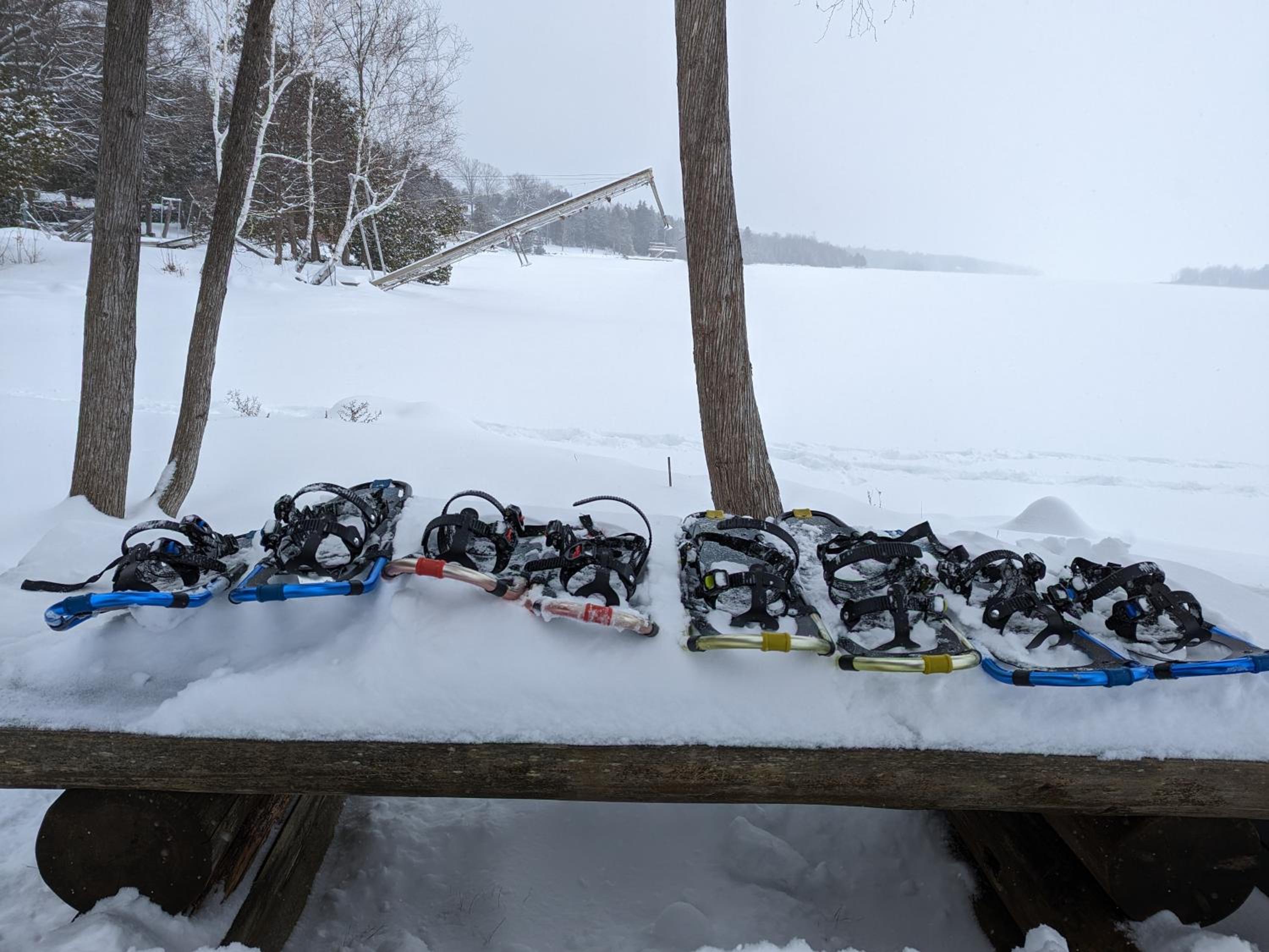 Cozy Escape, Kawarthas Cottage With Sauna