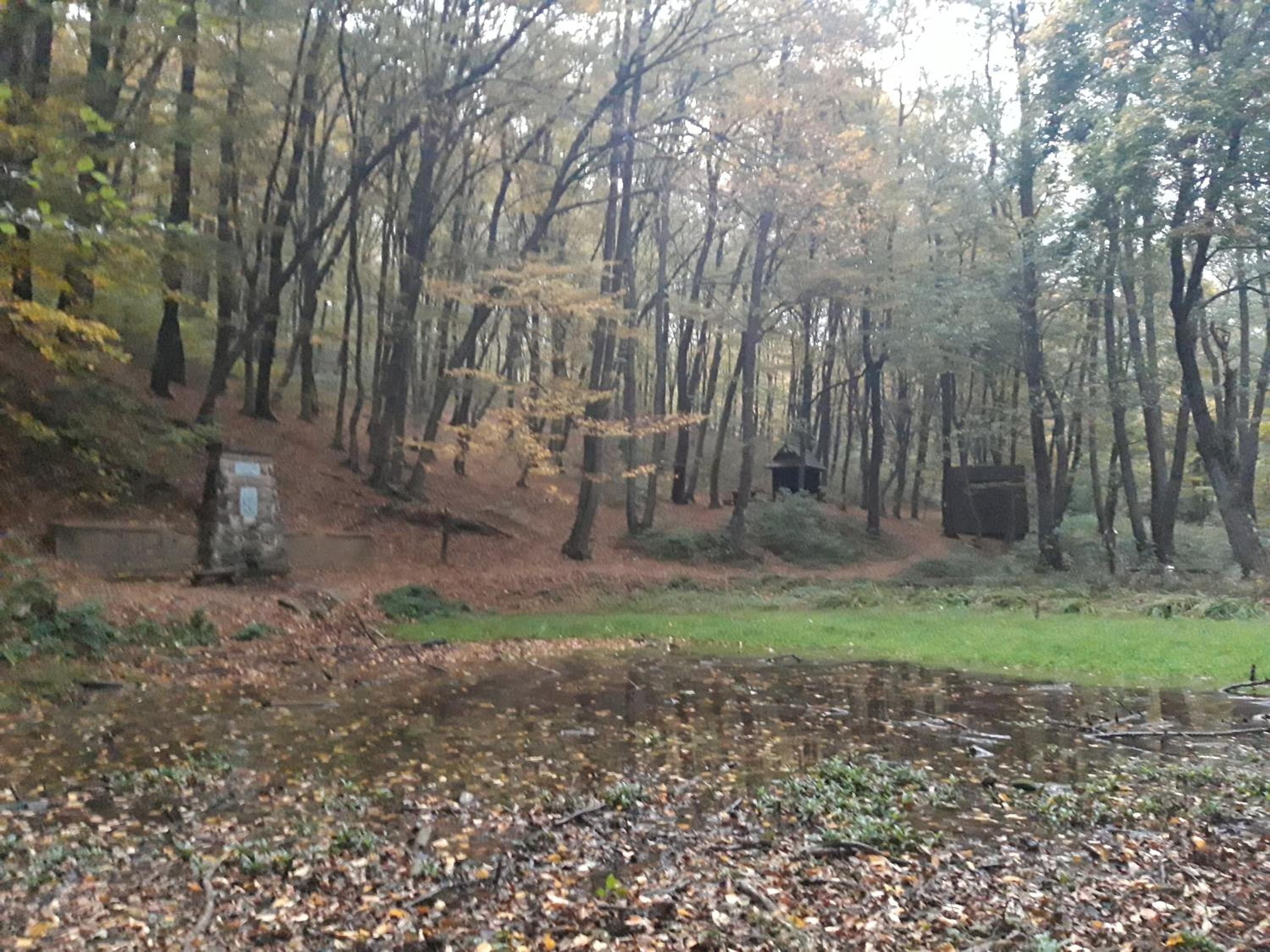 Photo 24