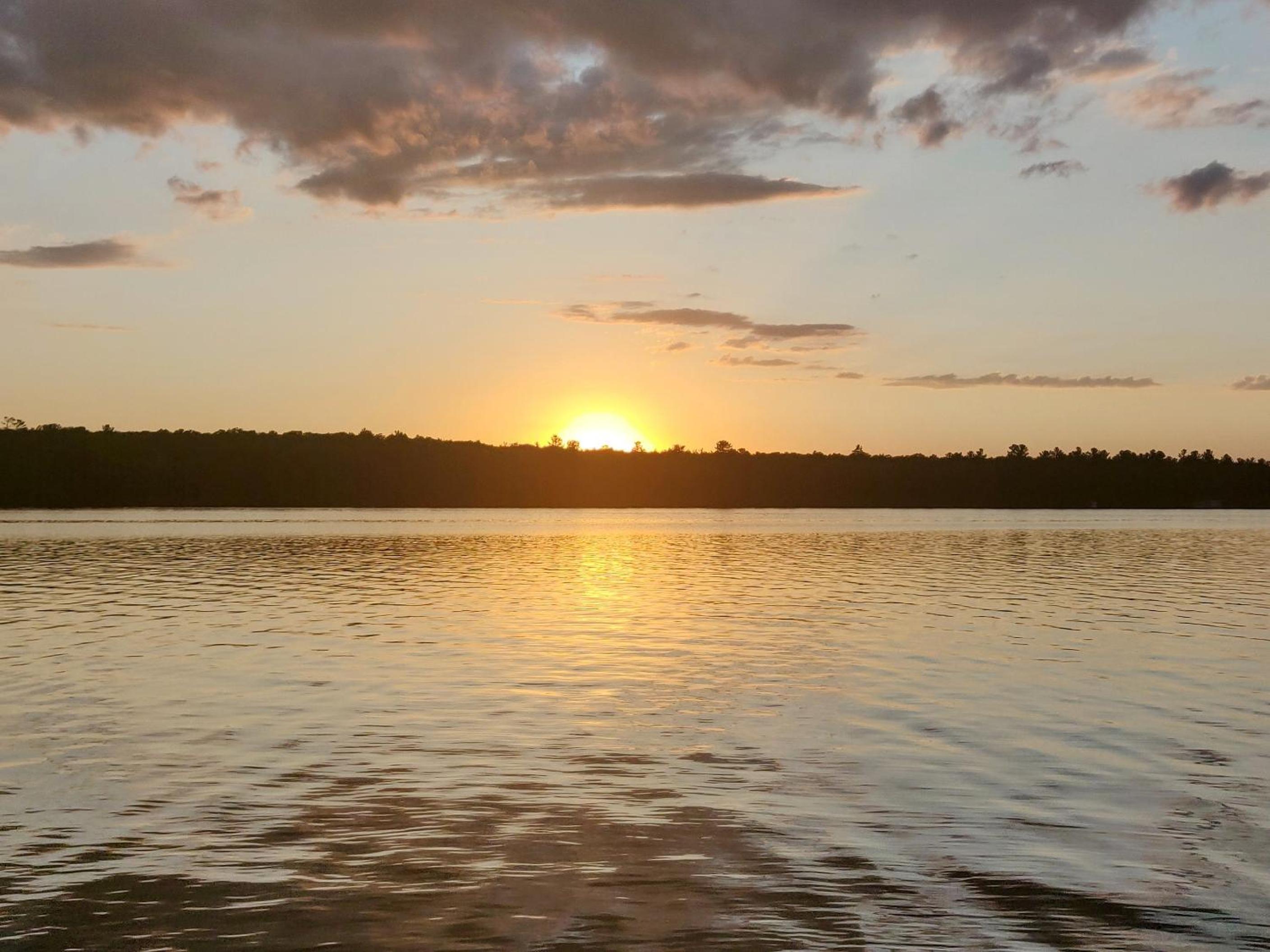 Cozy Escape, Kawarthas Cottage With Sauna