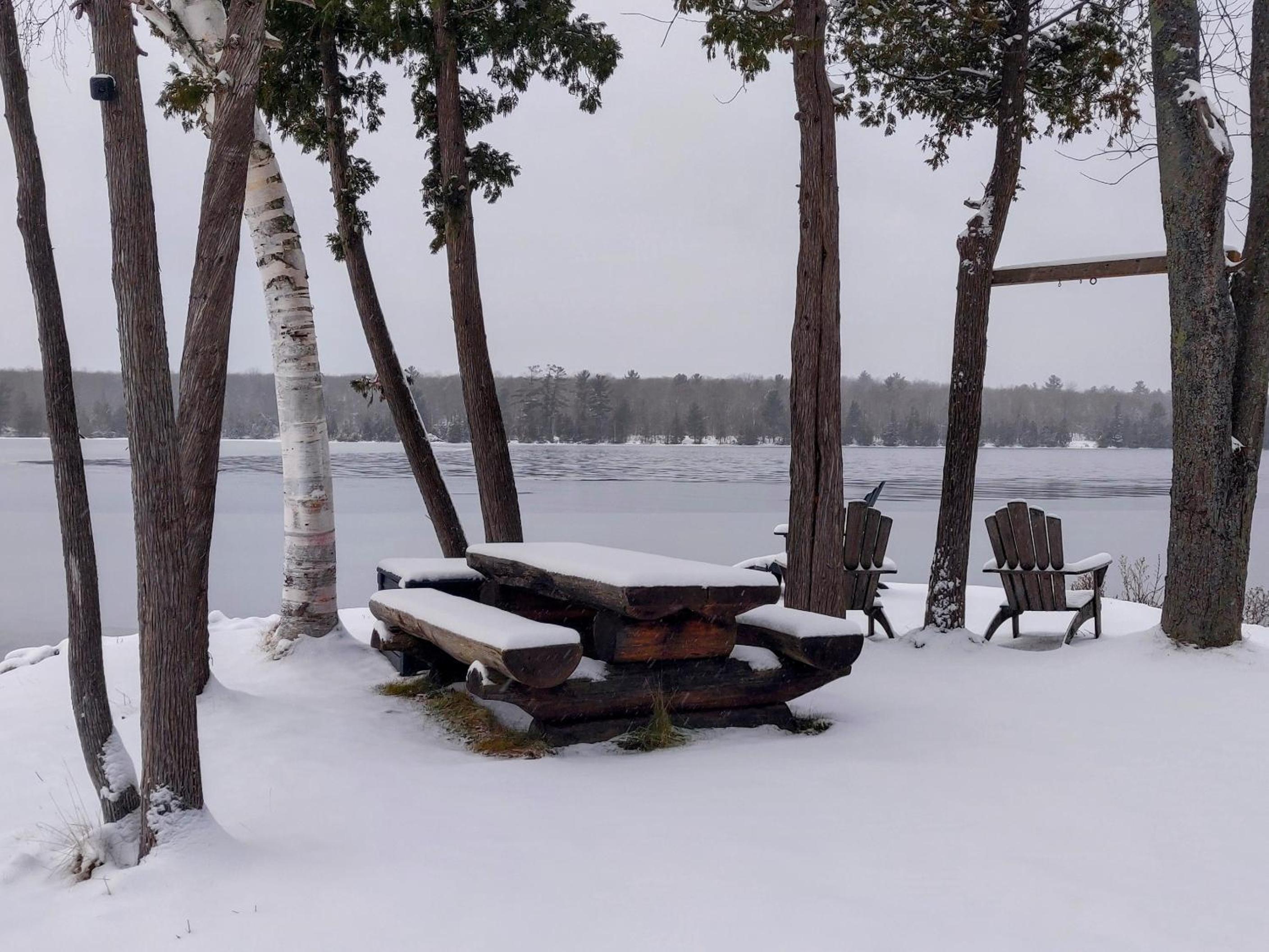 Cozy Escape, Kawarthas Cottage With Sauna