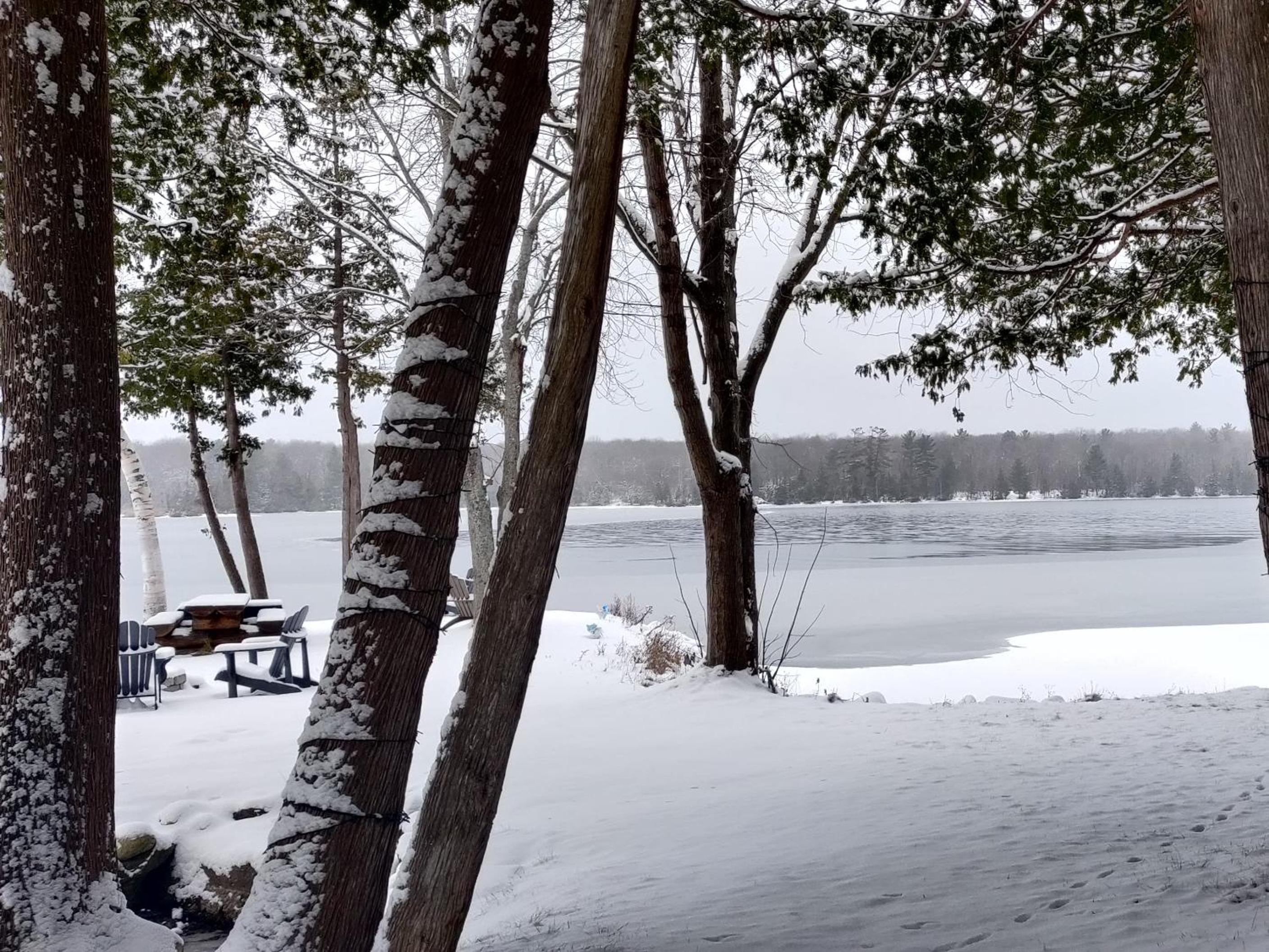 Cozy Escape, Kawarthas Cottage With Sauna