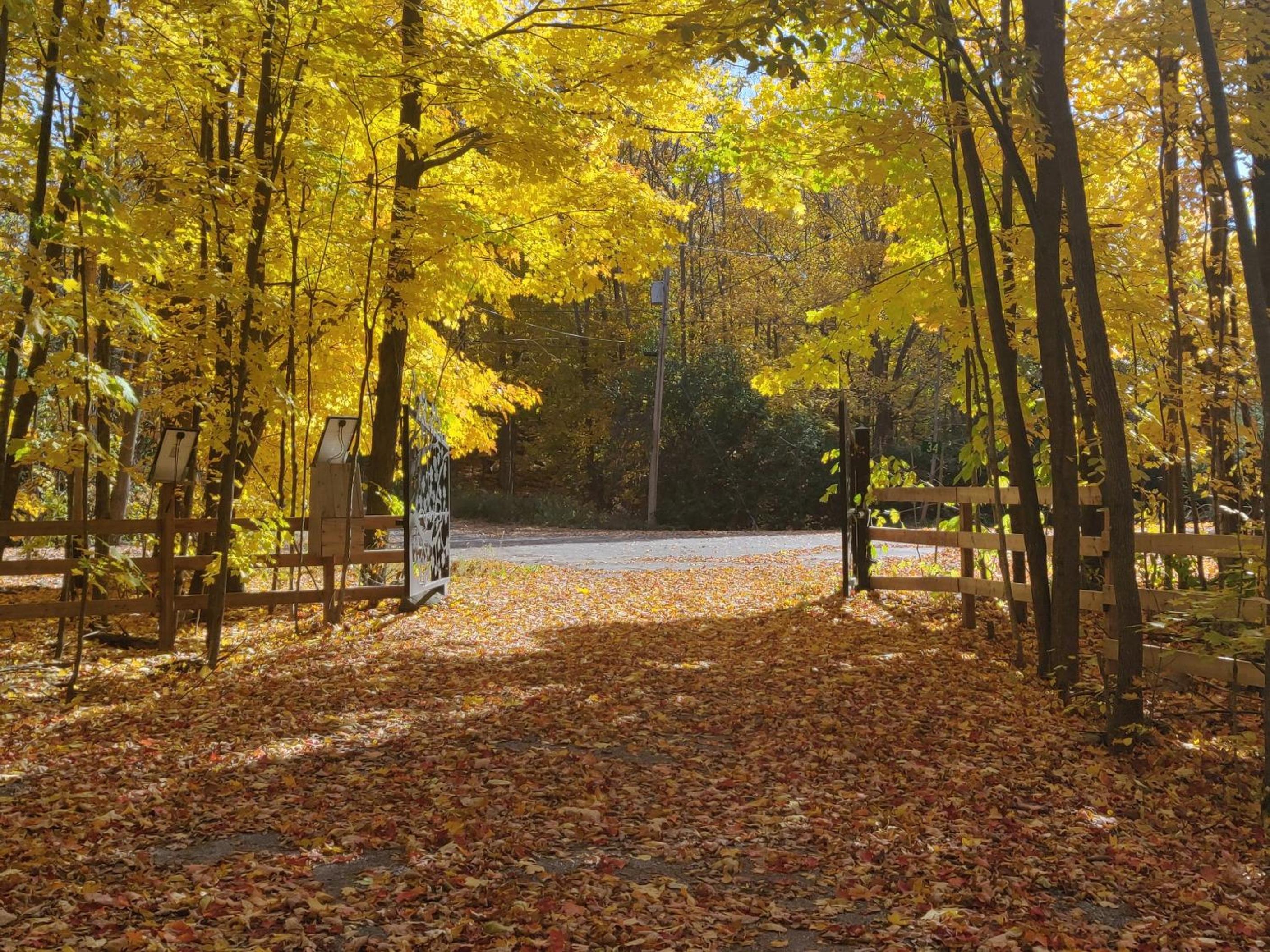 Cozy Escape, Kawarthas Cottage With Sauna