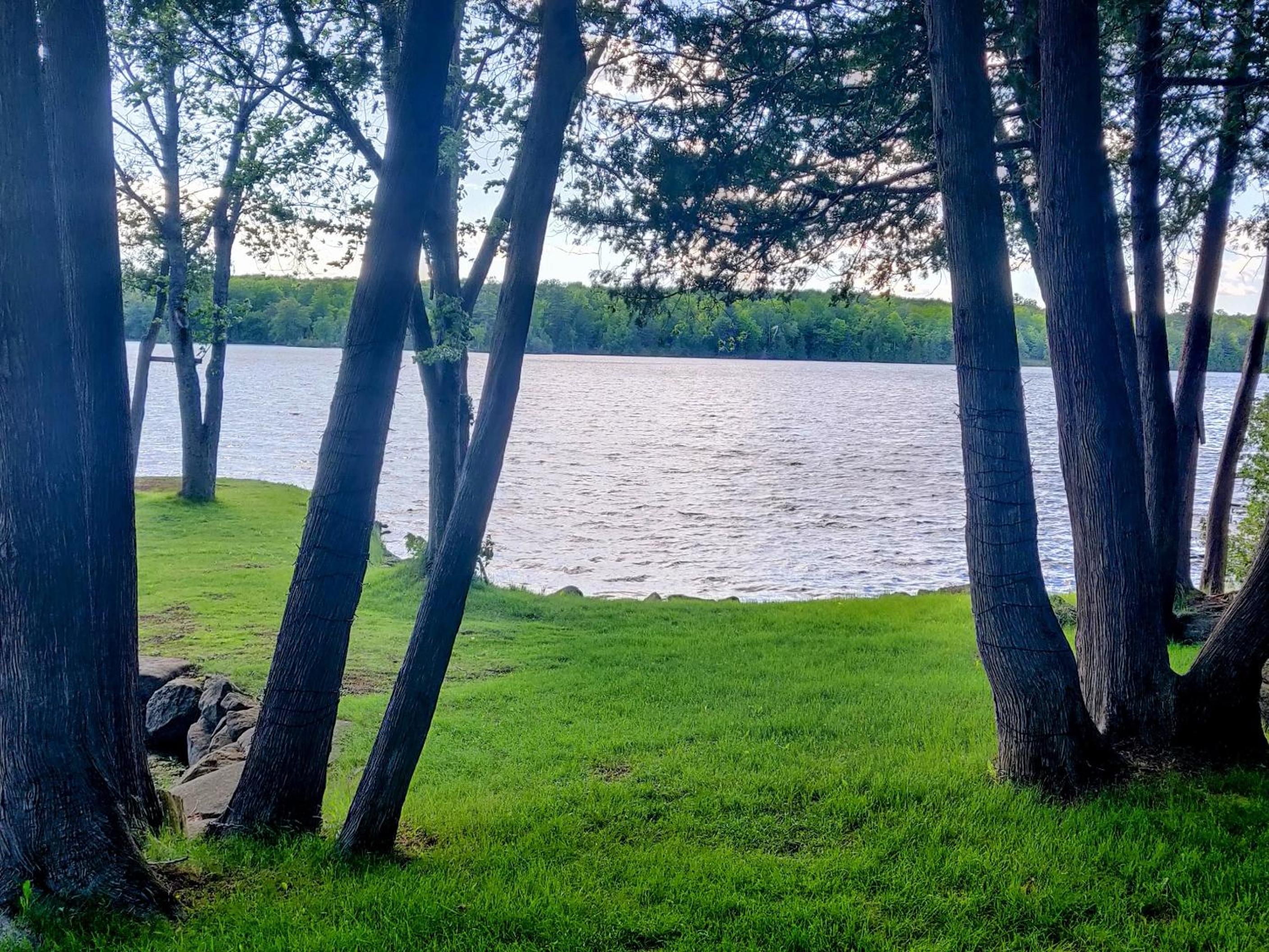 Cozy Escape, Kawarthas Cottage With Sauna