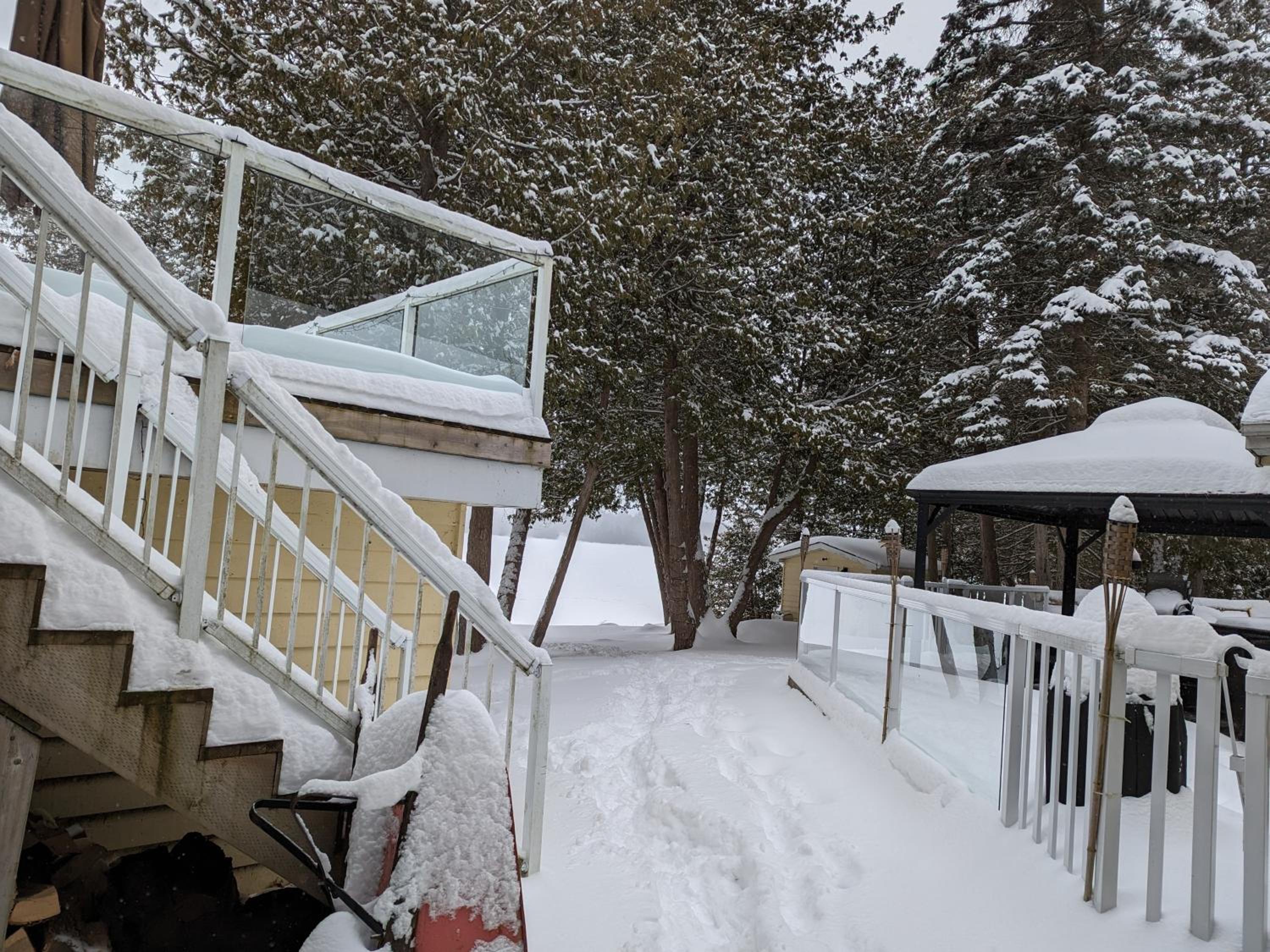Cozy Escape, Kawarthas Cottage With Sauna