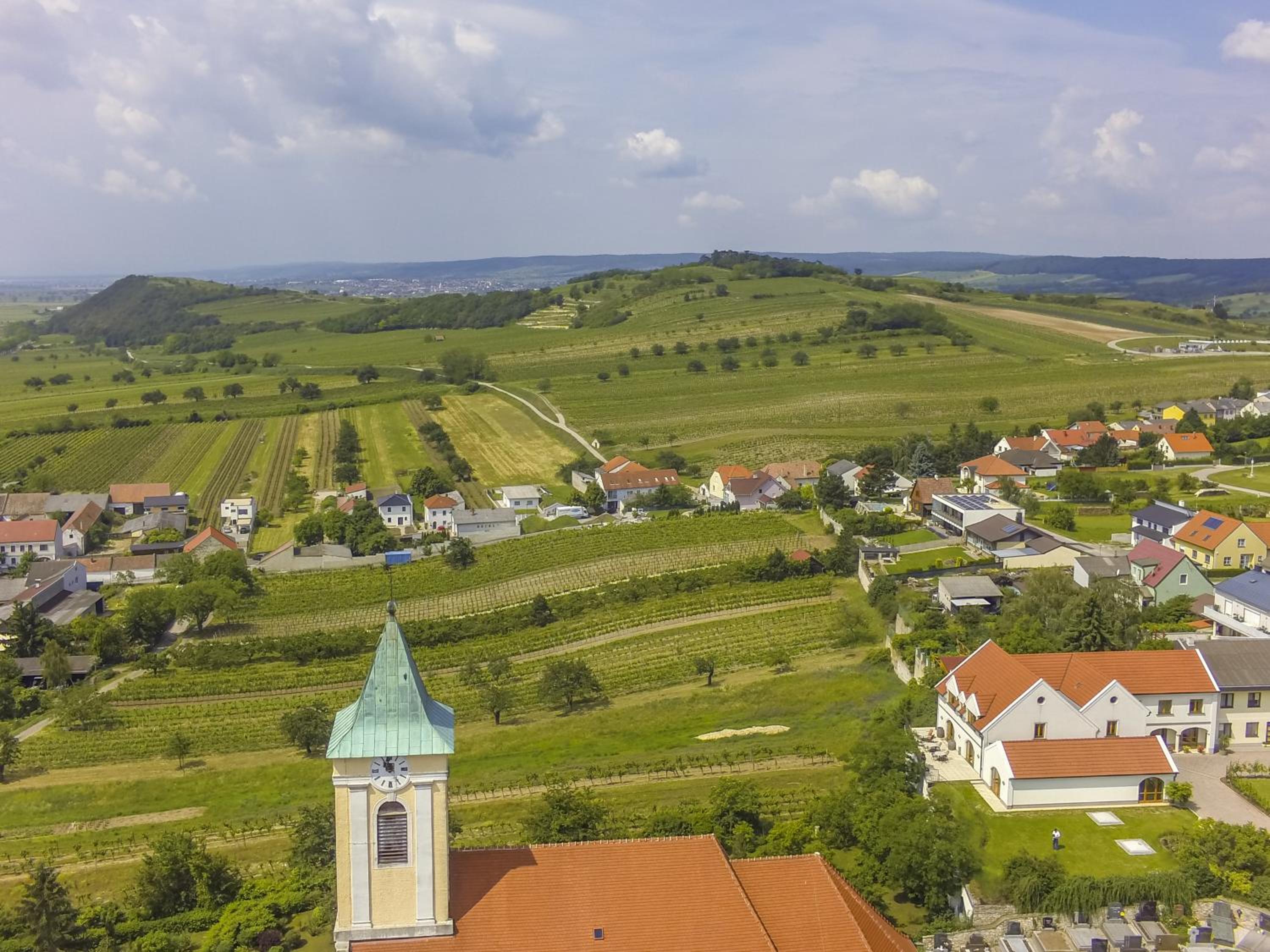 Weingut & Gästehaus zum Seeblick - Familie Sattler