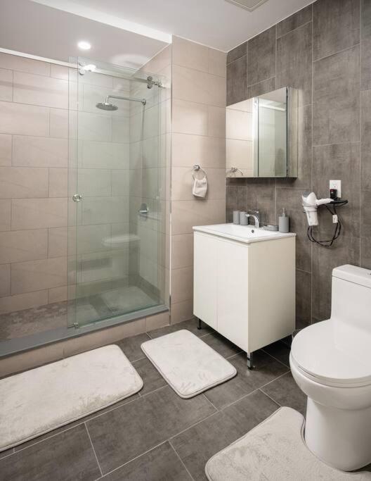 Modern Spacious Apartment in Chelsea