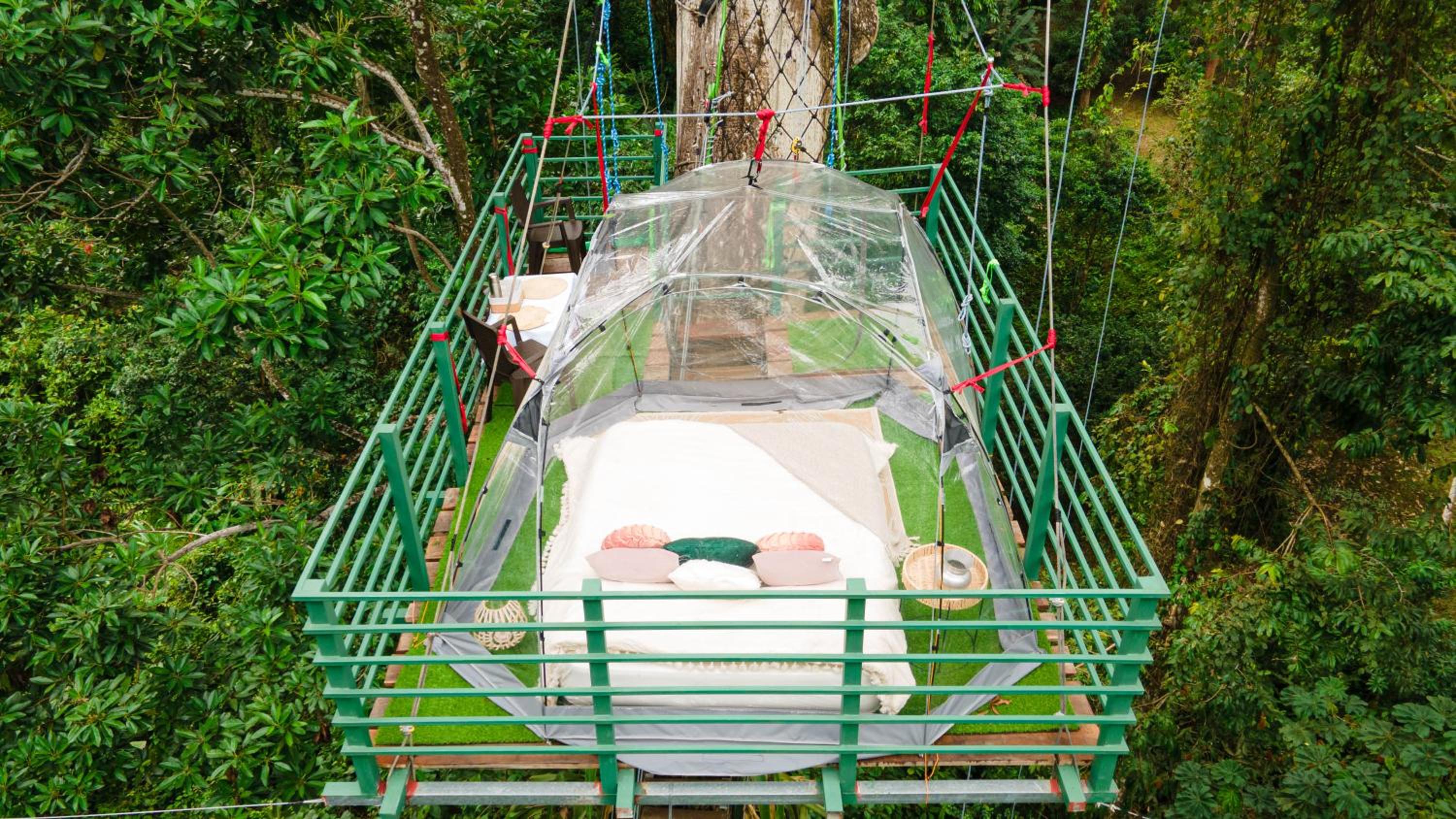 Hotel Boutique The Green Jungle House