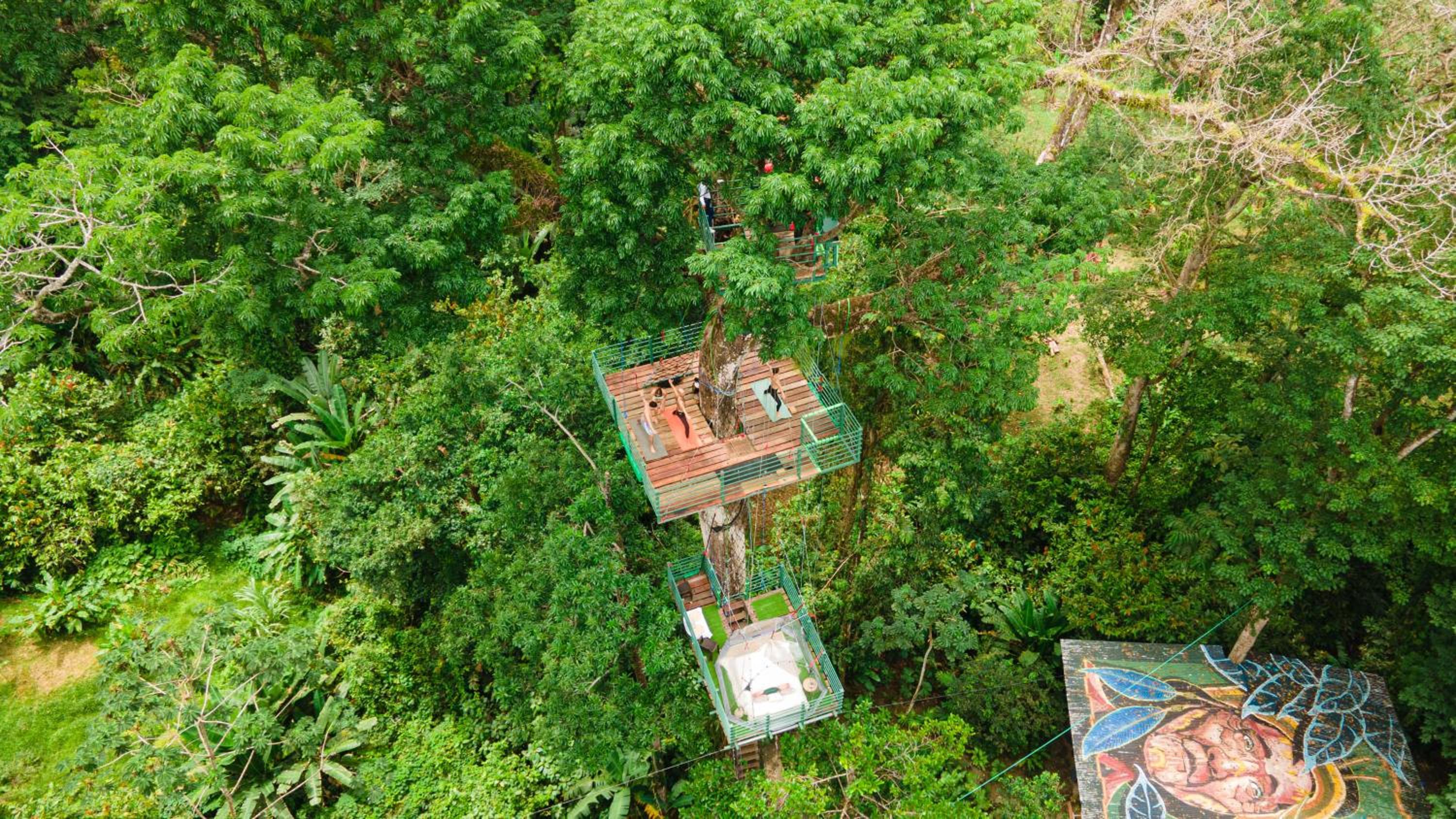 Hotel Boutique The Green Jungle House
