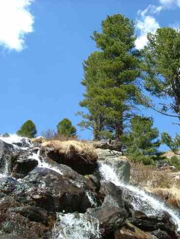Photo 50