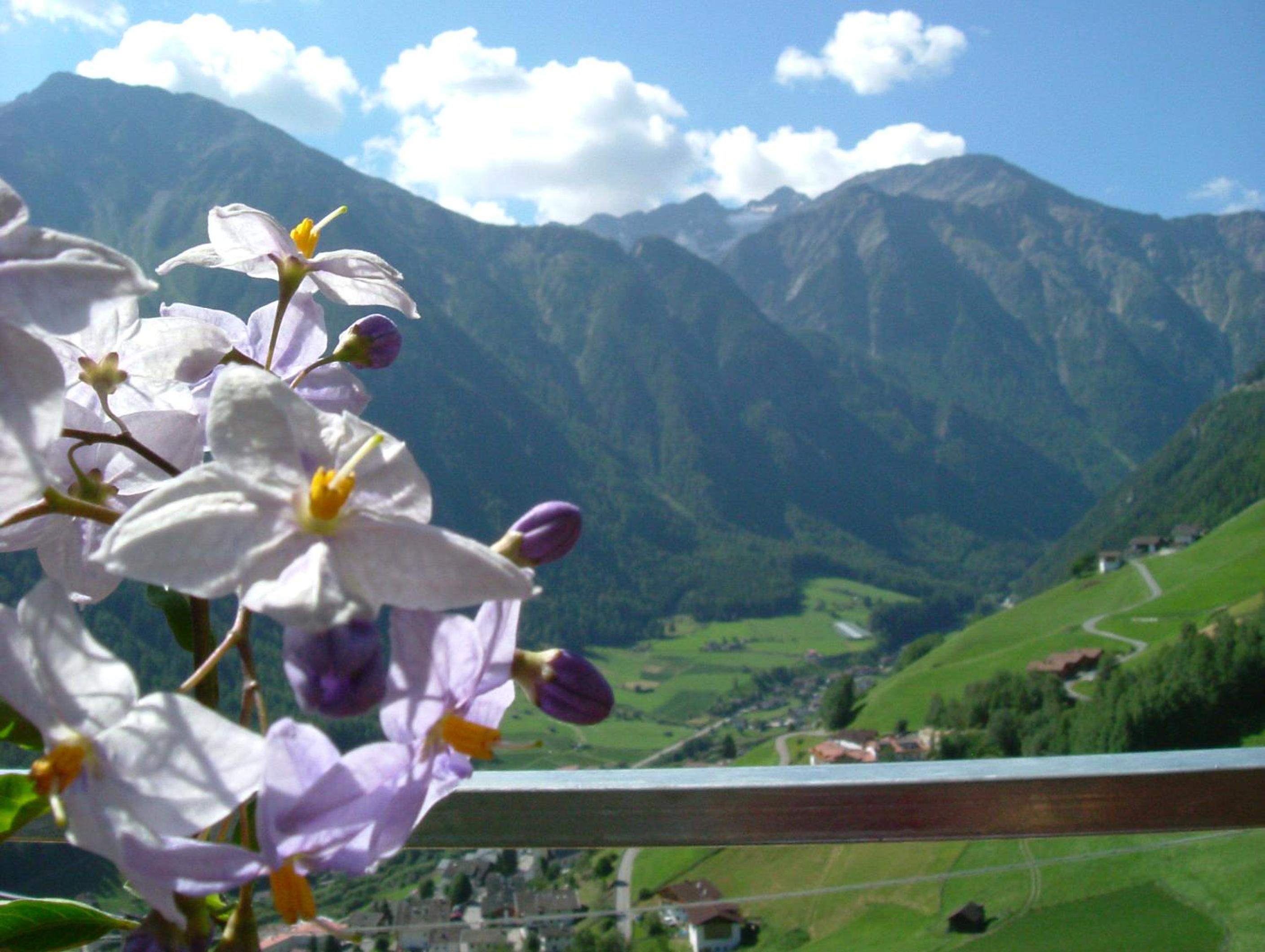 WASCHERHOF - Apartment Oberhofer view 5