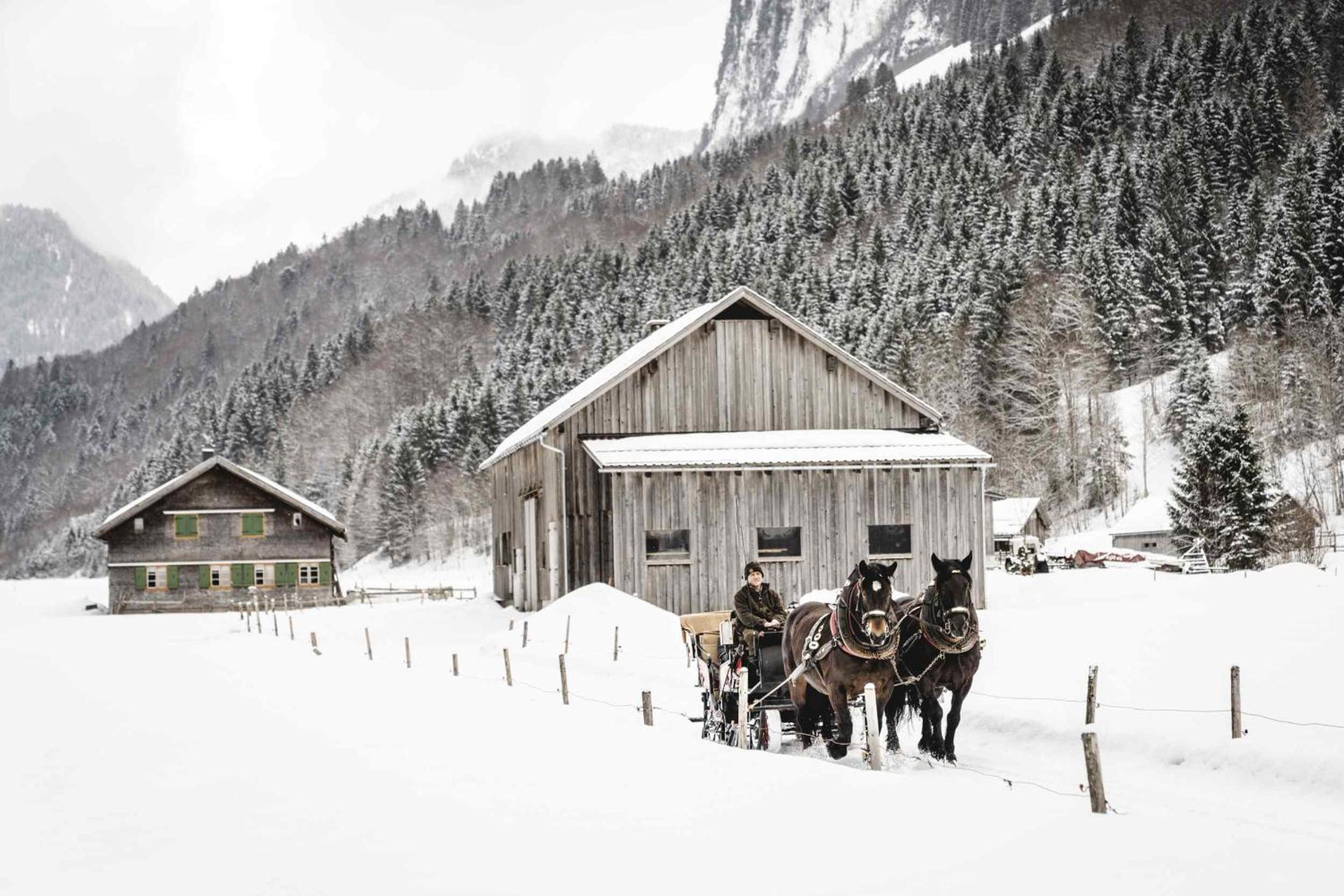 Photo 76
