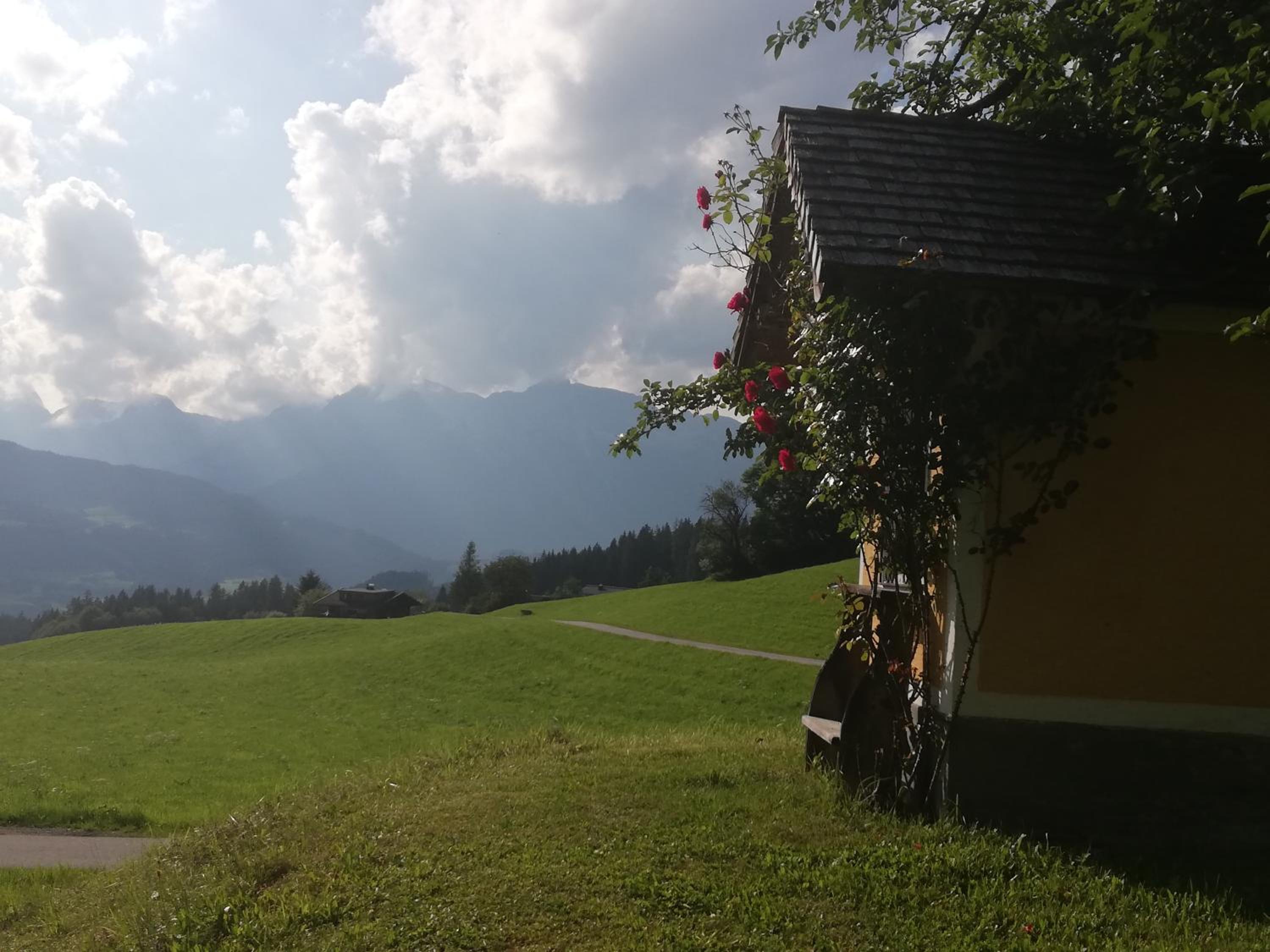 Appartement Steinerhof