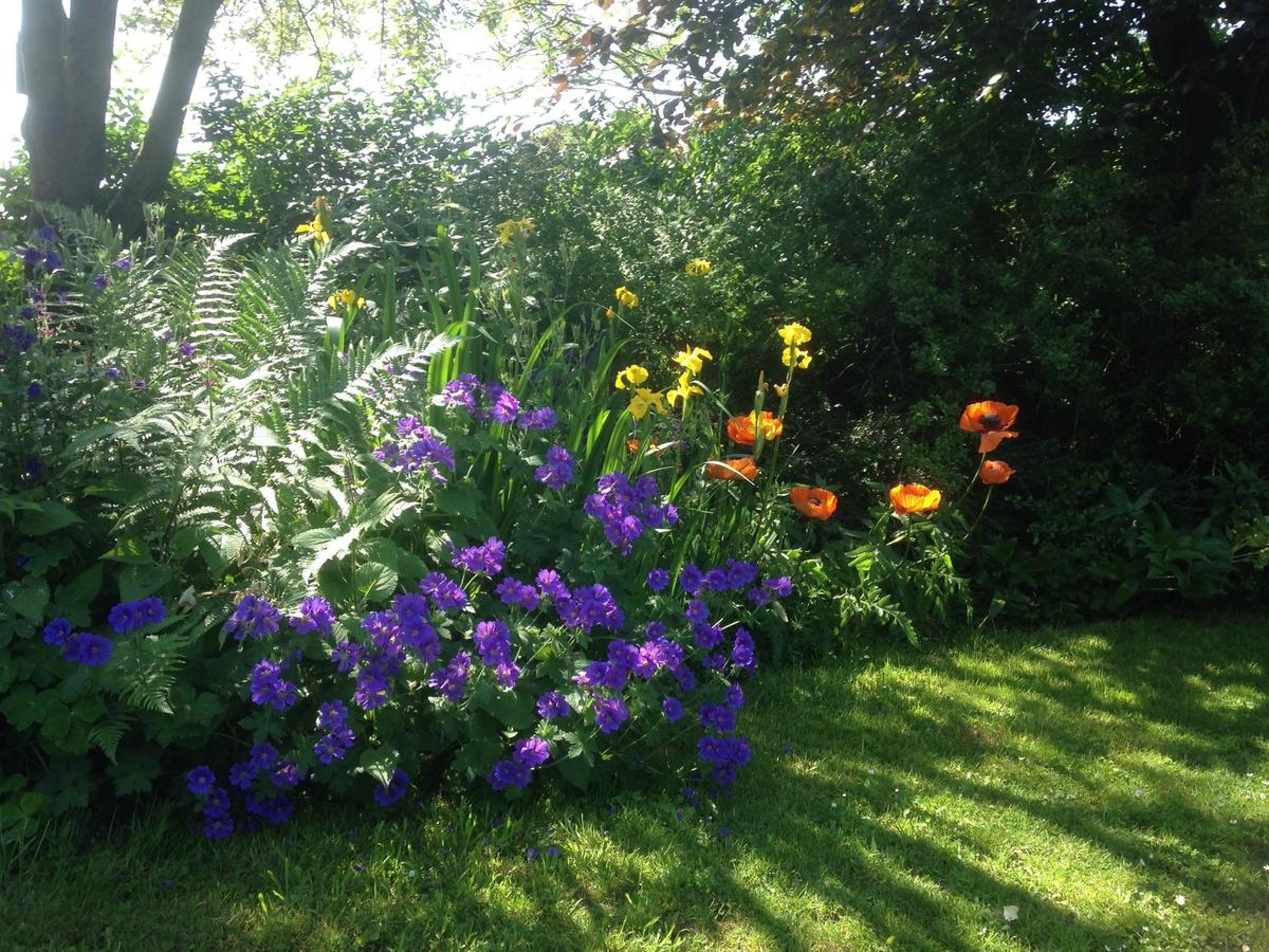 Photo 49