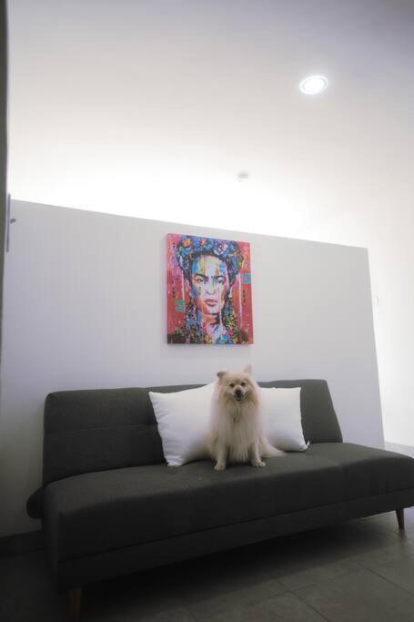Casa Macfarland Boutique view 5