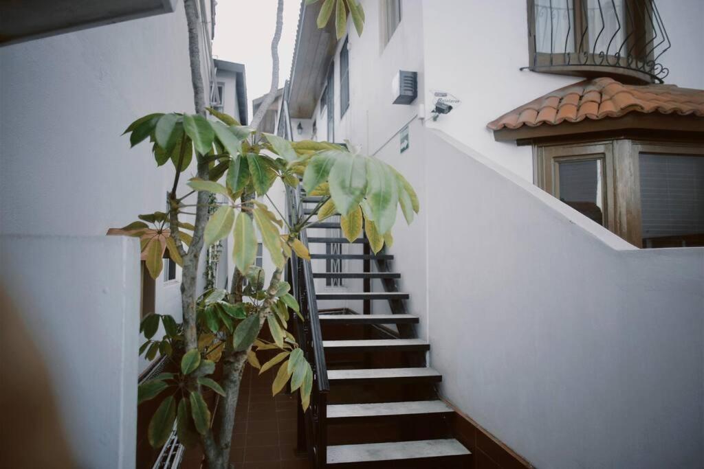Hotel Casa Macfarland Boutique - Image 1