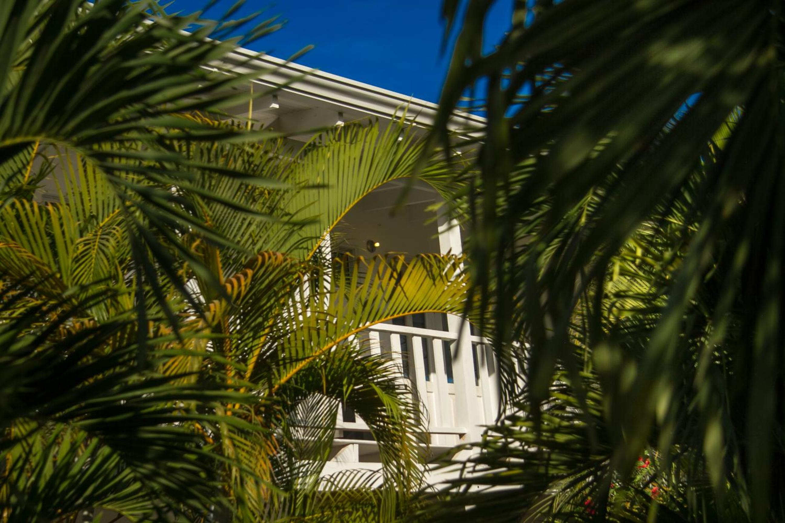 Hotel Horizontes de Montezuma