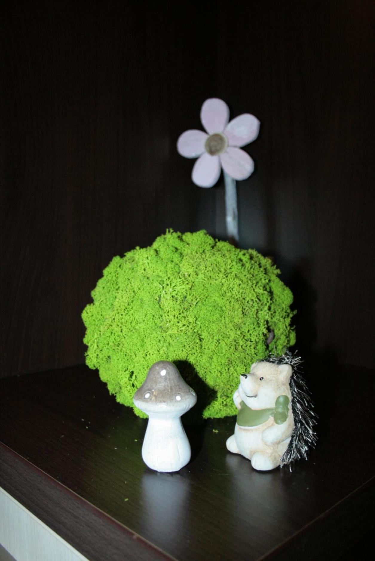Photo 44