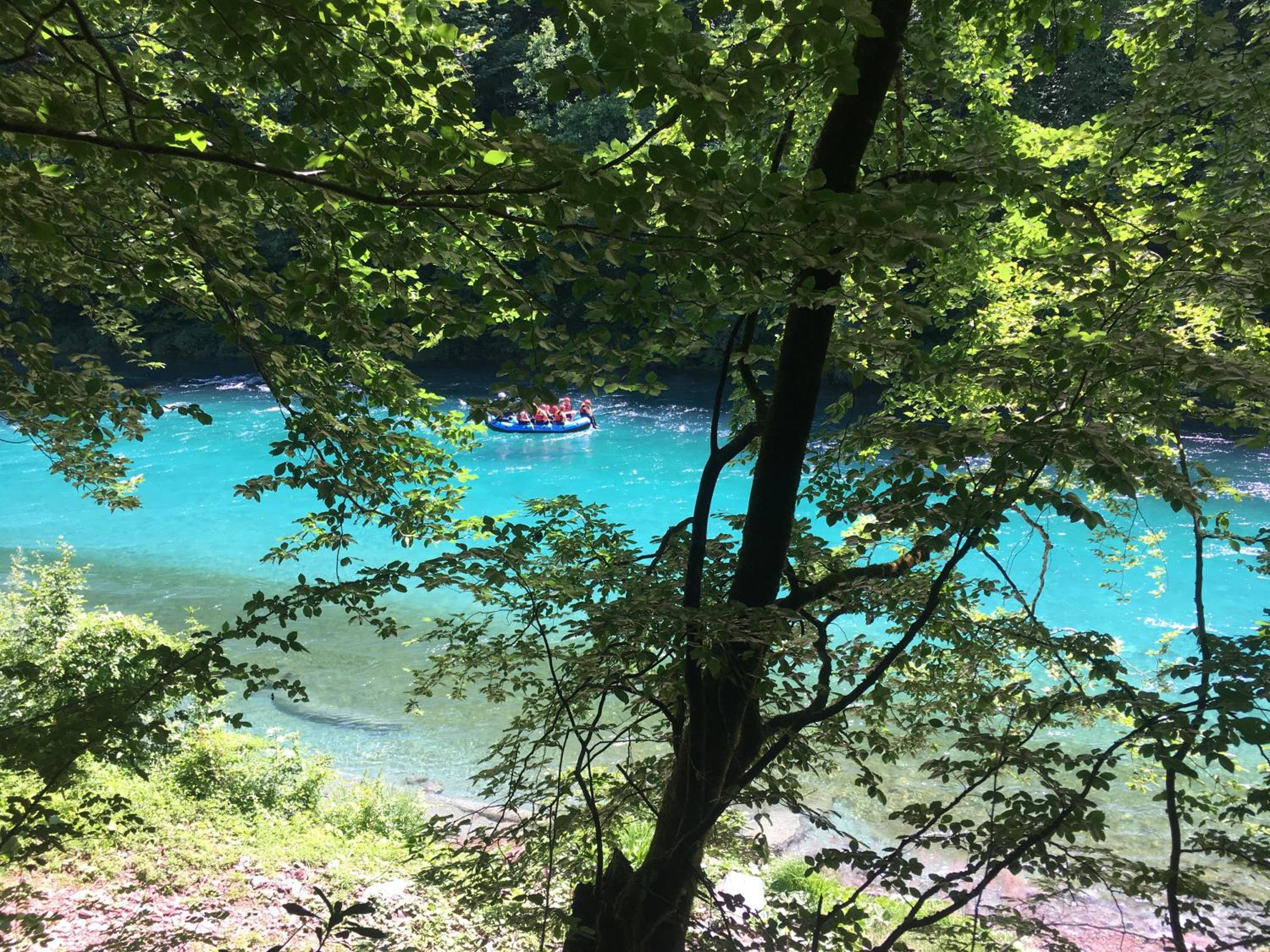 Vucja Gora