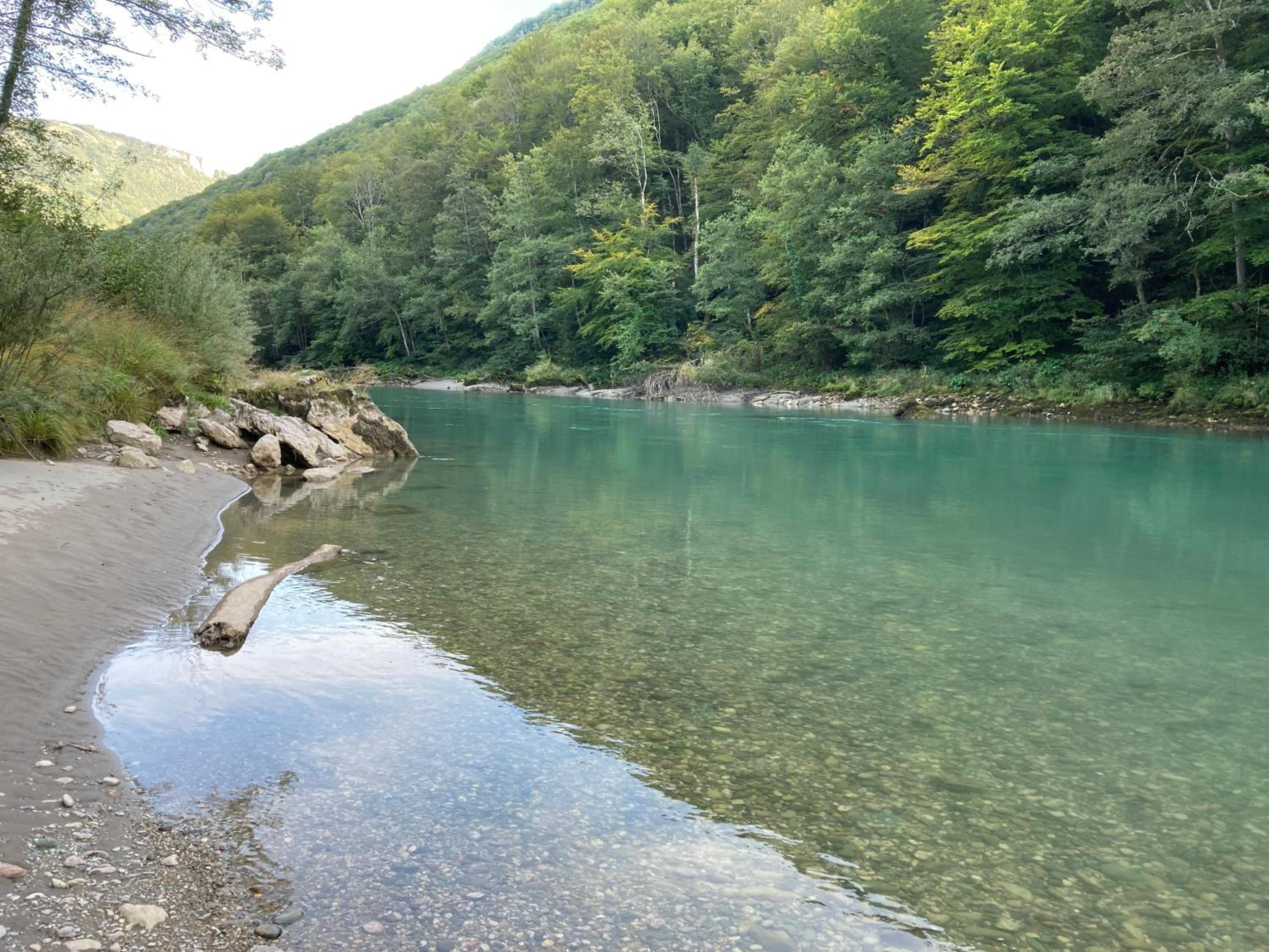 Vucja Gora