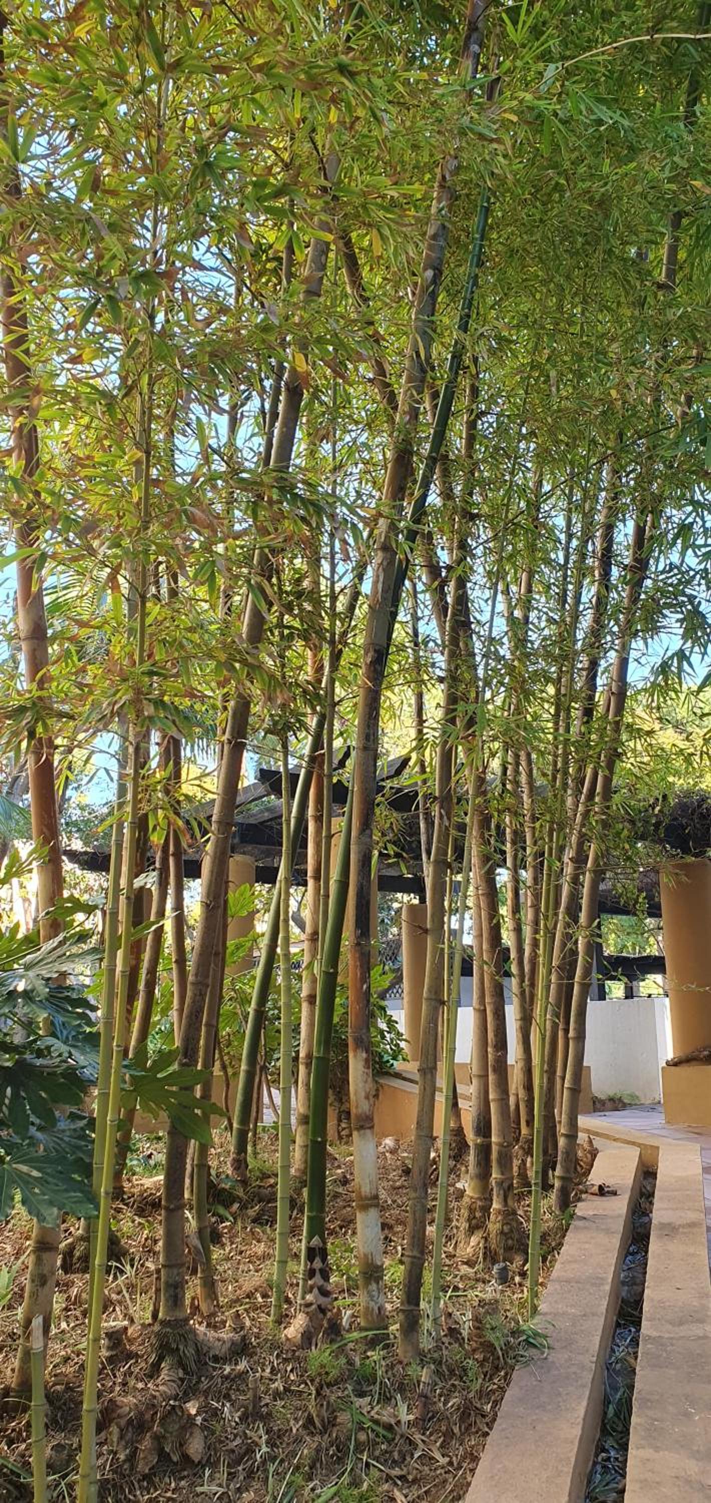 Jardines de las Golondrinas Elviria by the Nikki beach