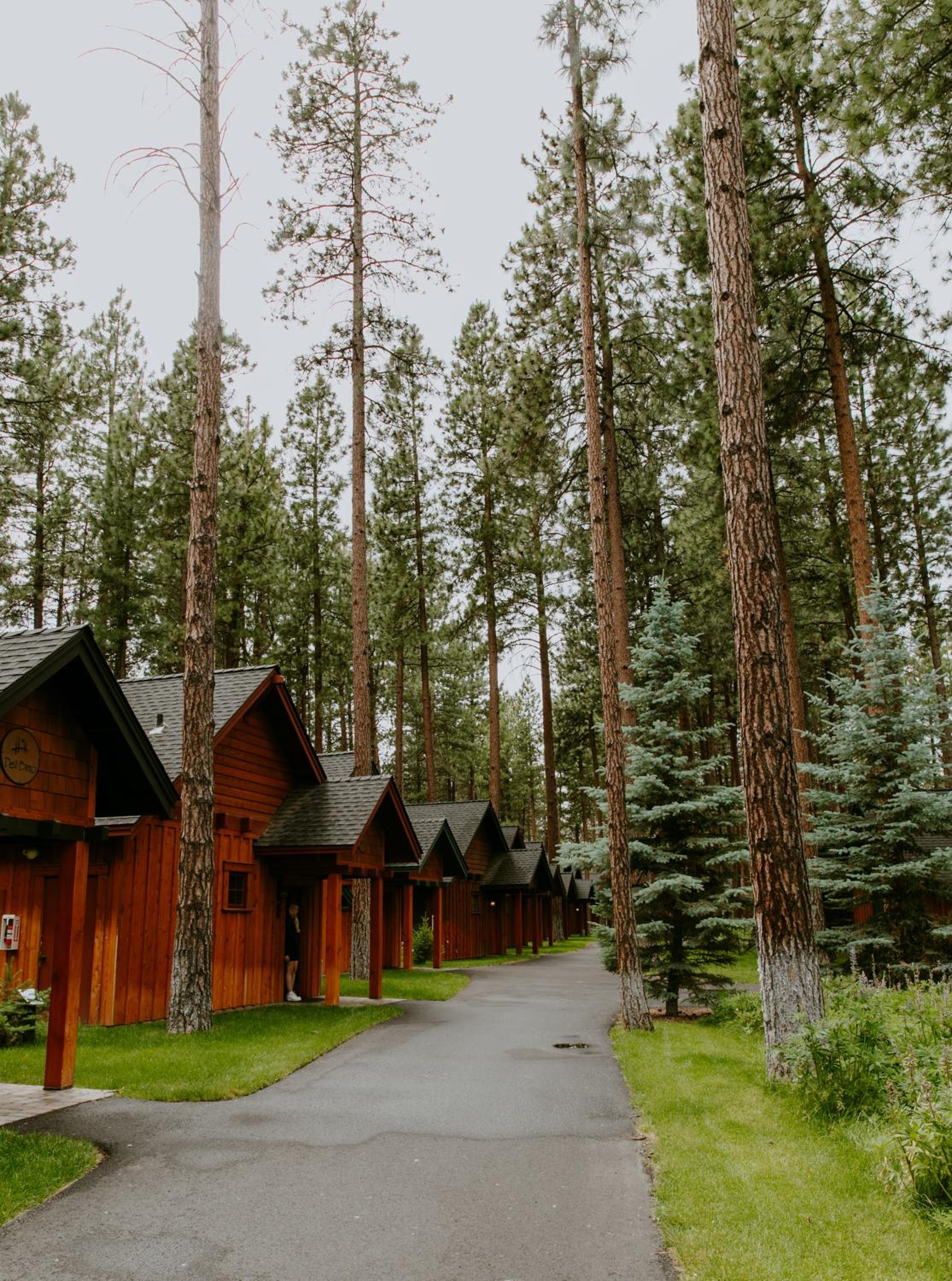 FivePine Lodge