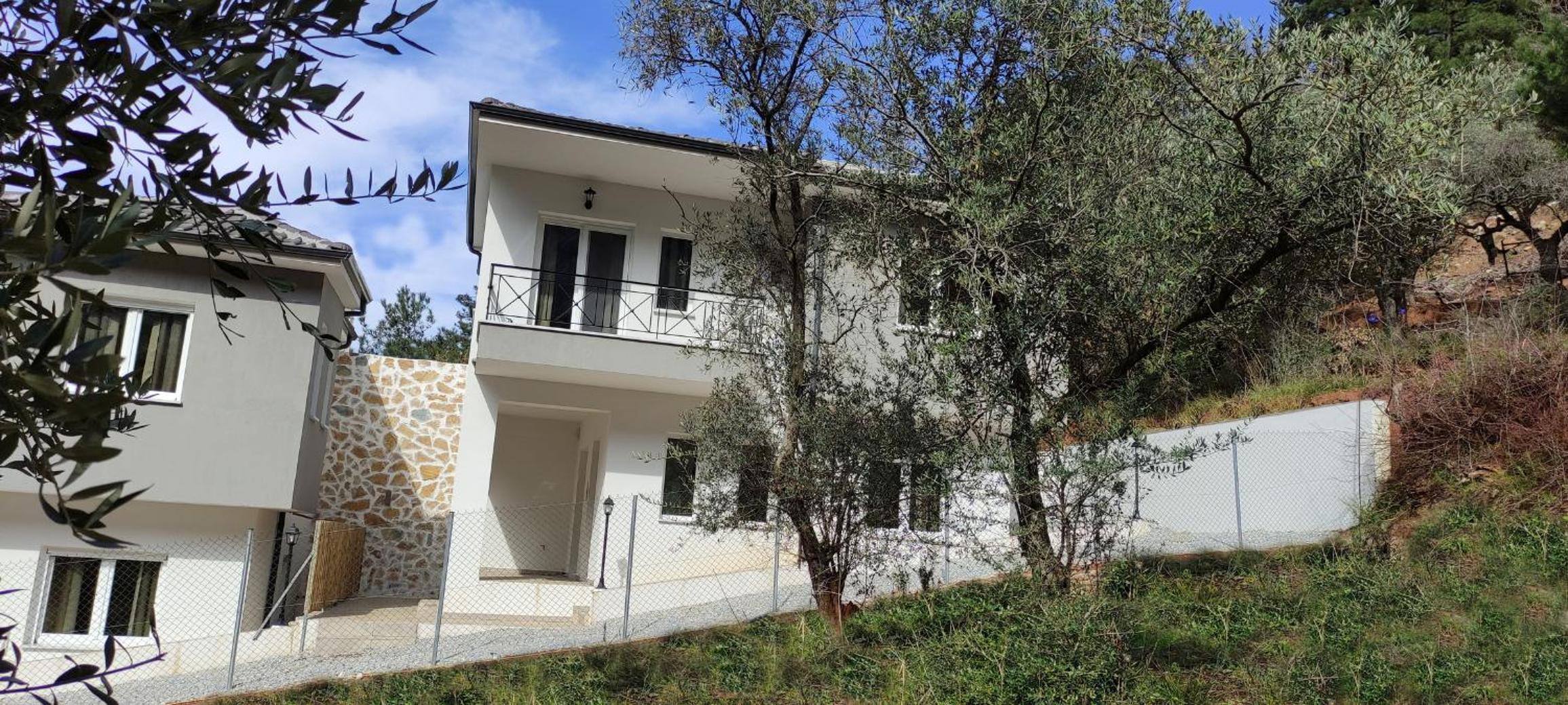 Evergreen Thassos