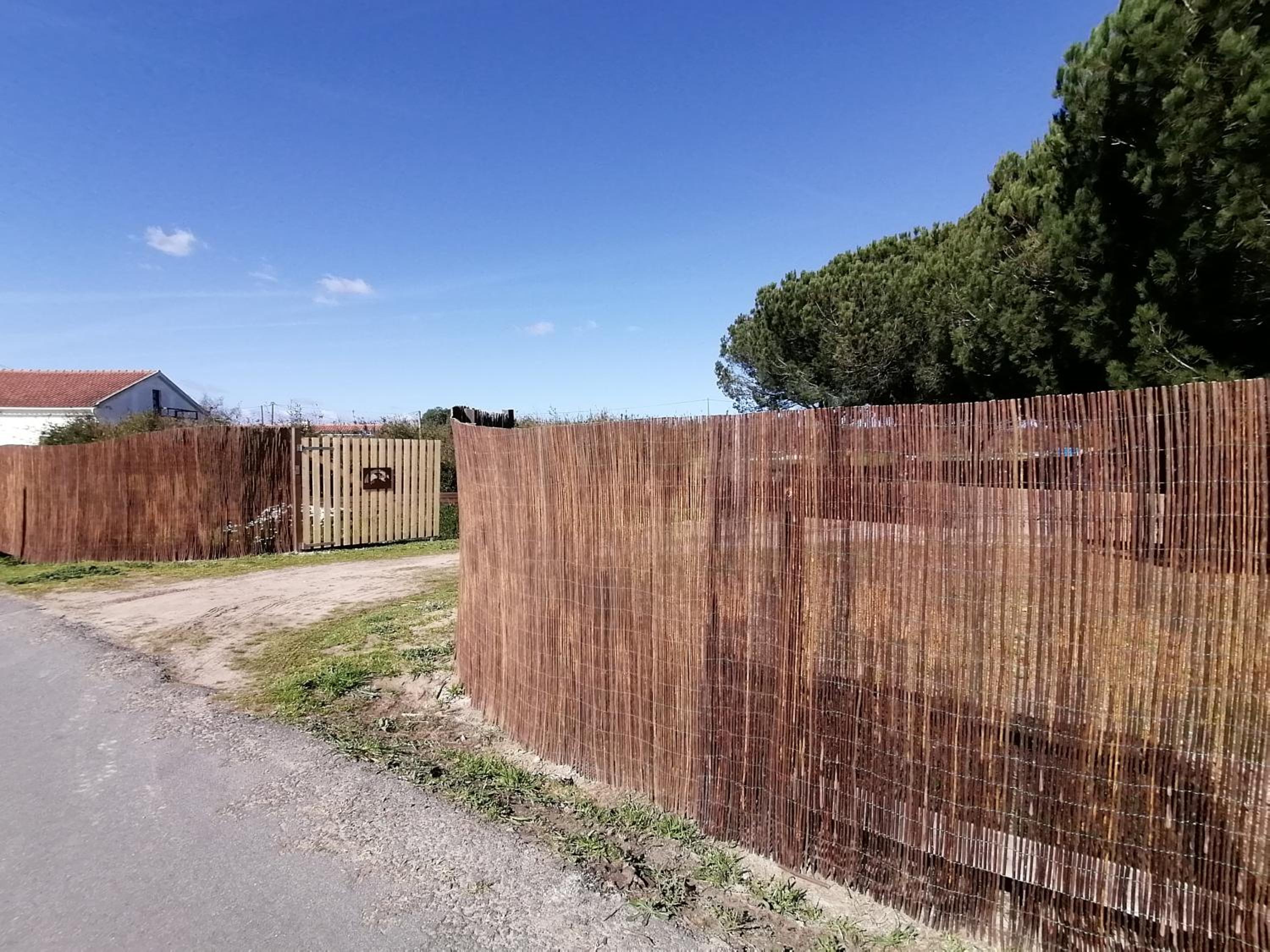 Pine 3 Inn, holiday home, activities and more view 4