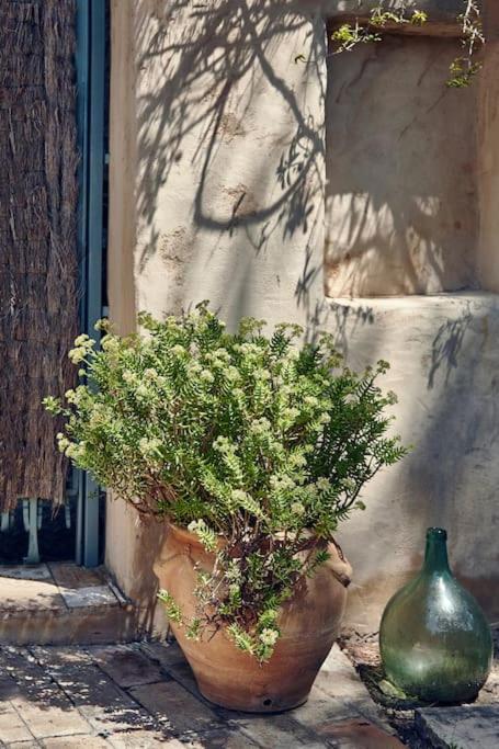 Sitges Hill Retreats-Masia Nur 22 bedrooms divided over 9 houses for max 44 guests view 4