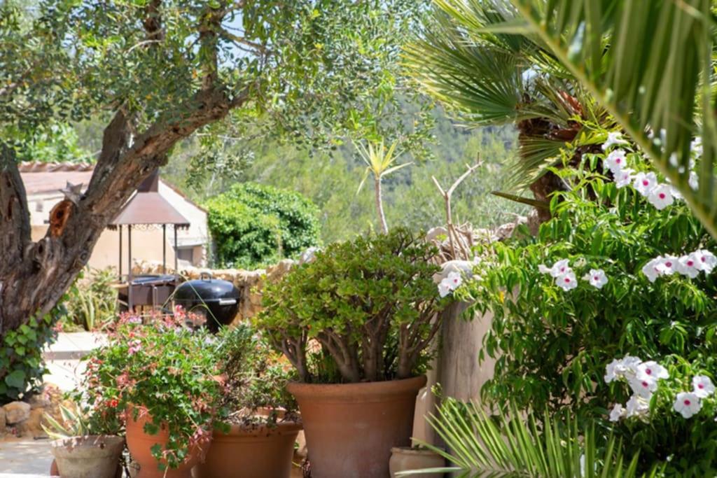 Sitges Hill Retreats-Masia Nur 22 bedrooms divided over 9 houses for max 44 guests view 5
